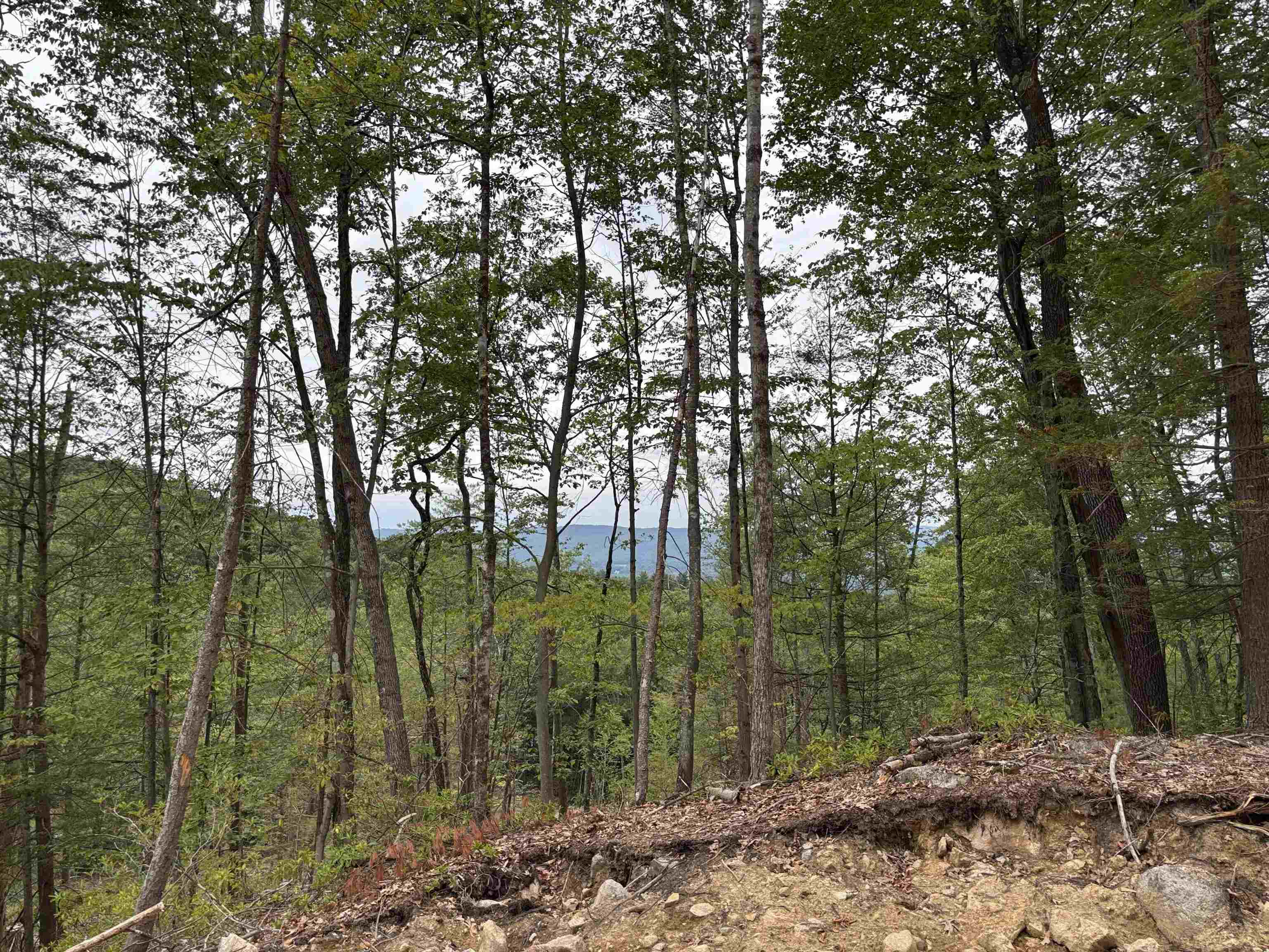 M13 L7 Tower Hill Rd, Hinsdale, NH 03451