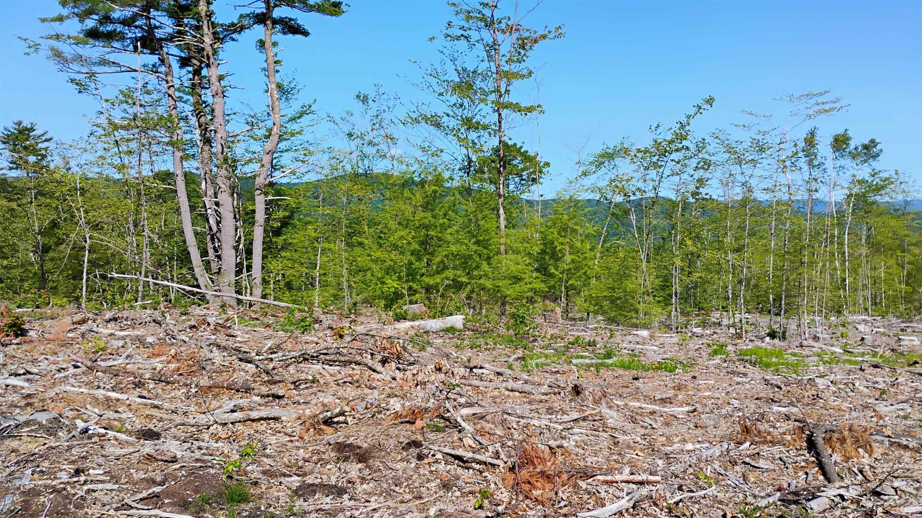 xx Isaac Colby Rd, Sanbornton, NH 03269
