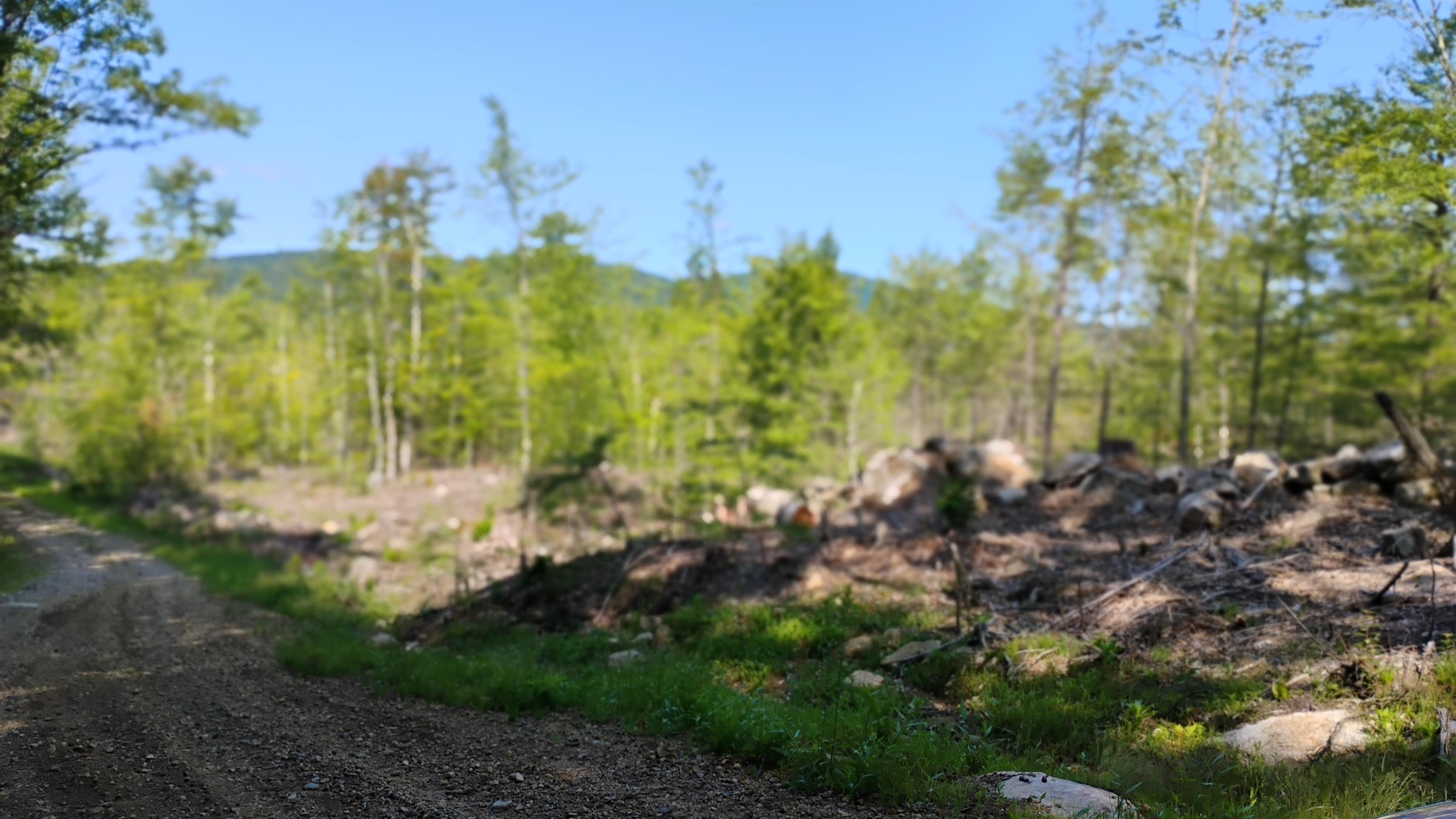 xx Isaac Colby Rd, Sanbornton, NH 03269