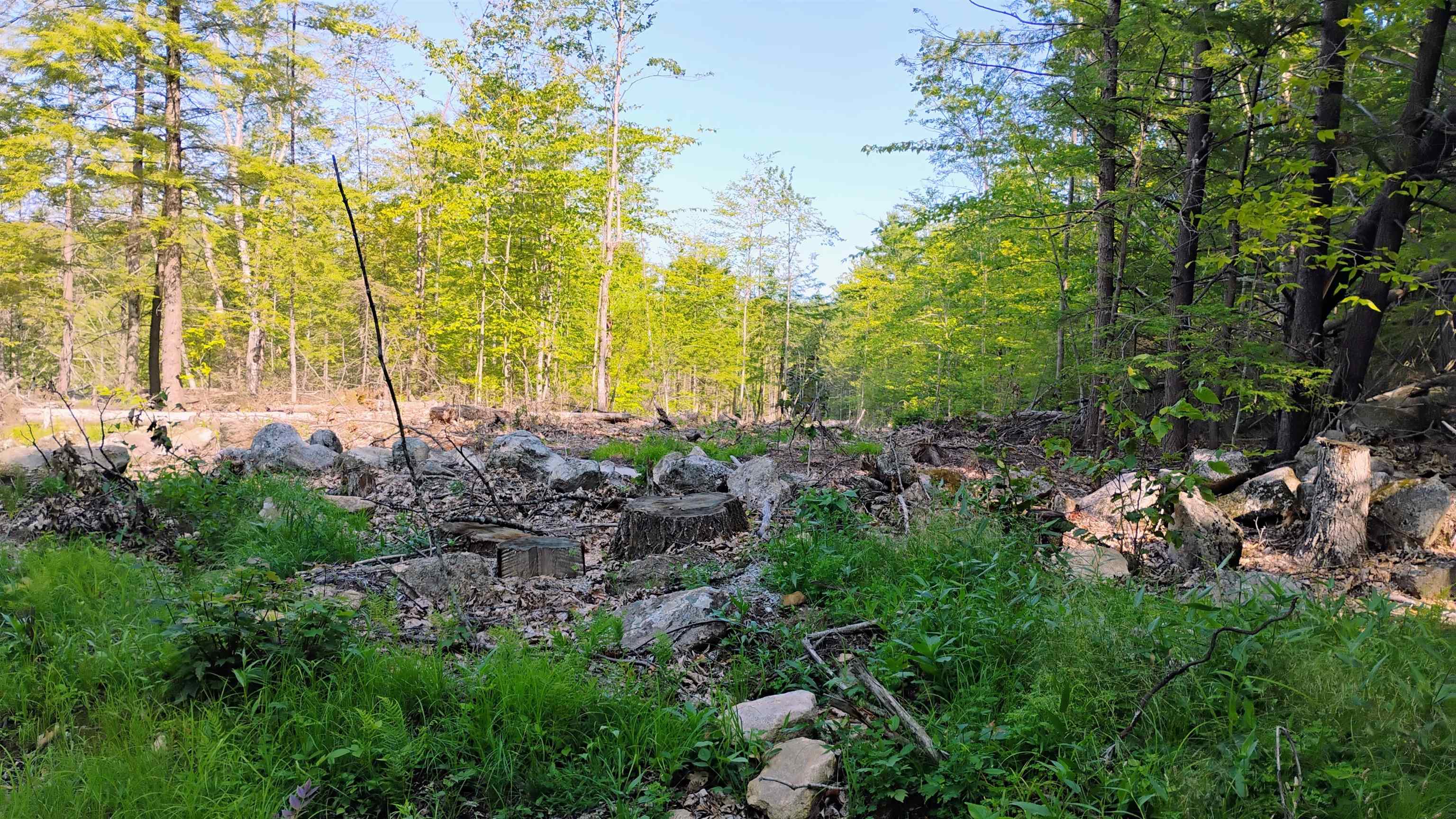 xx Isaac Colby Rd, Sanbornton, NH 03269