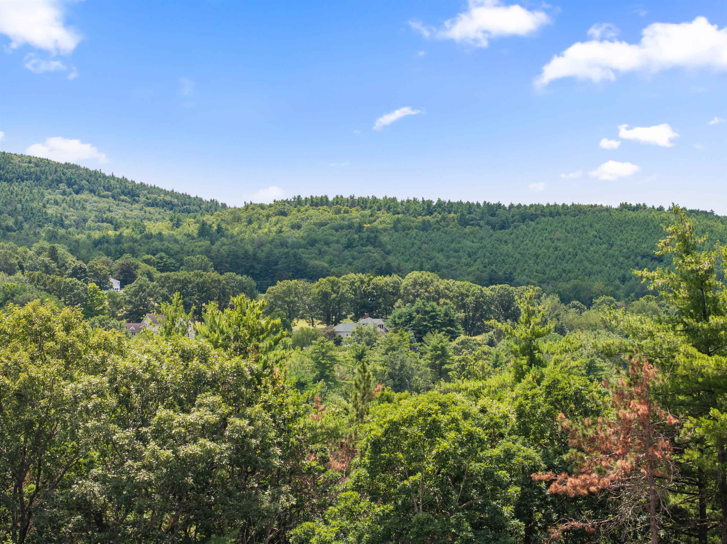 40 Foxglove Rd, Gilford, NH 03249