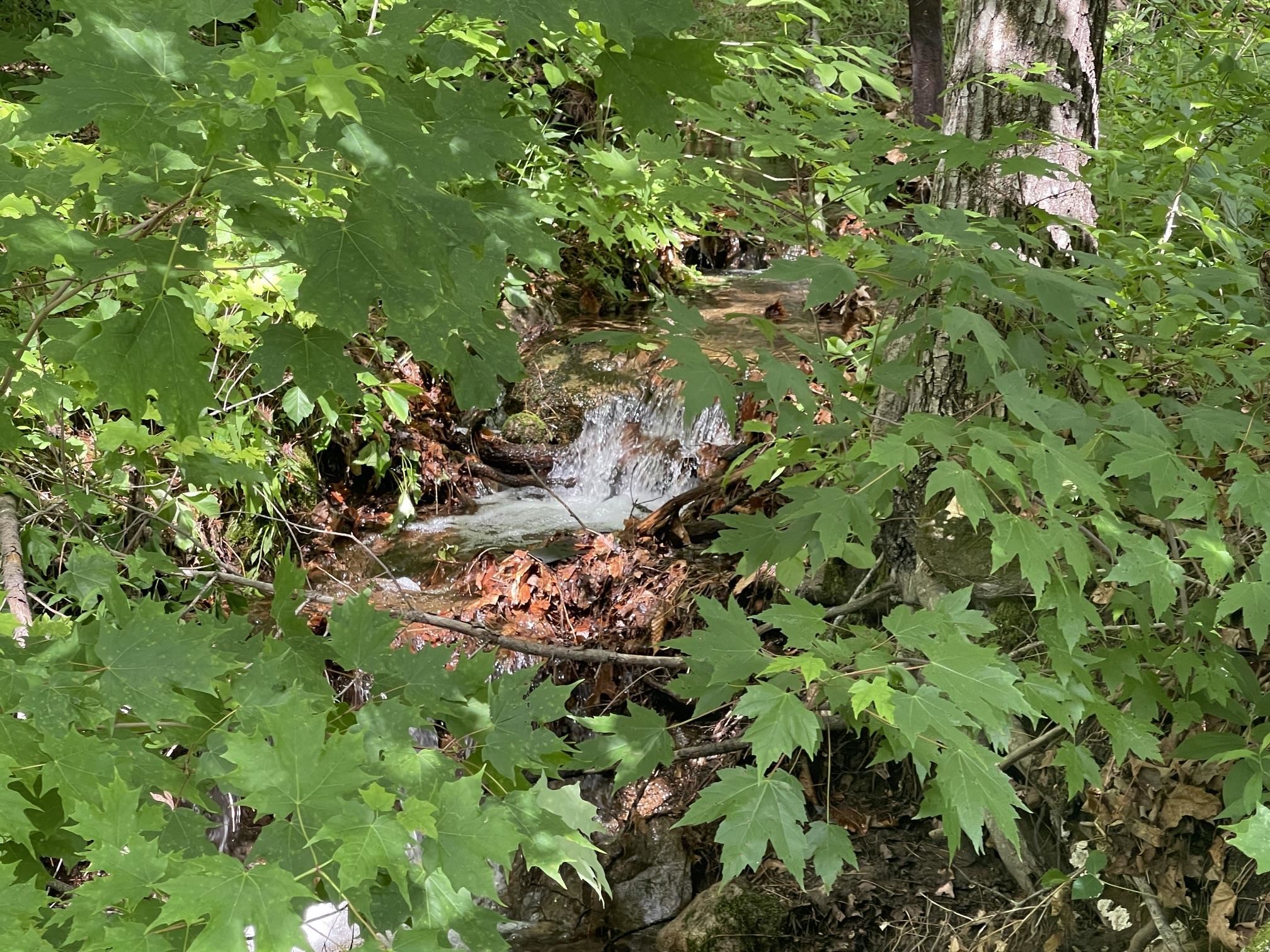 AND YOUR OWN BABBLING BROOK RUNS FALL TO MIDSUMMER WHICH CAN BE HEARD WITH THE WINDOWS OPEN.