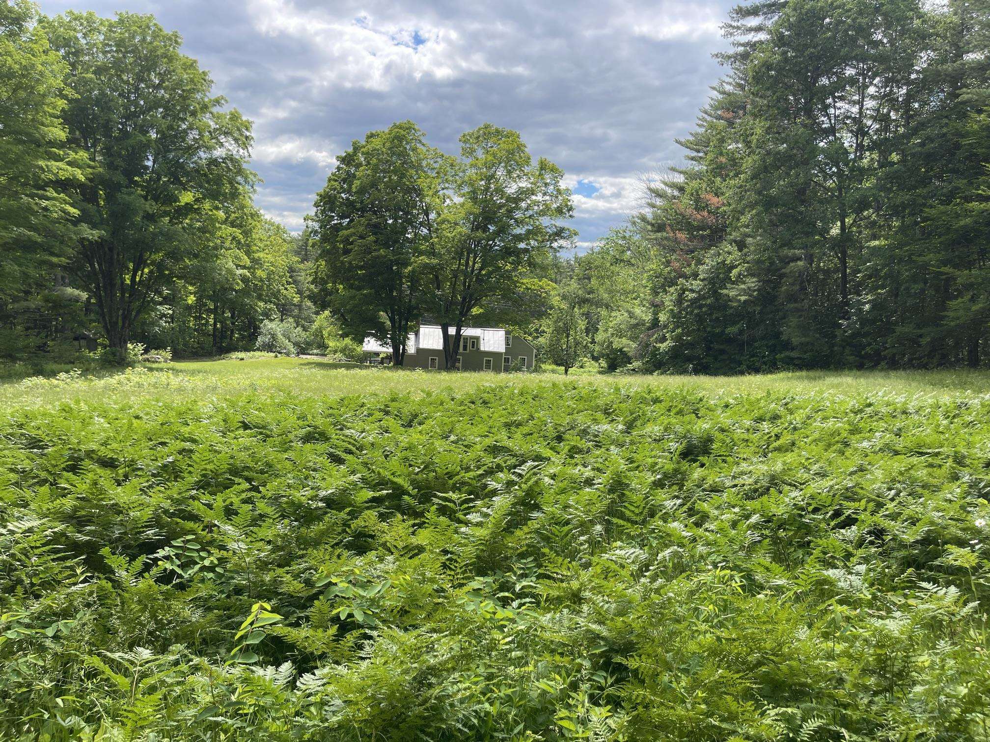877 Lead Mine Rd, Madison, NH 03849