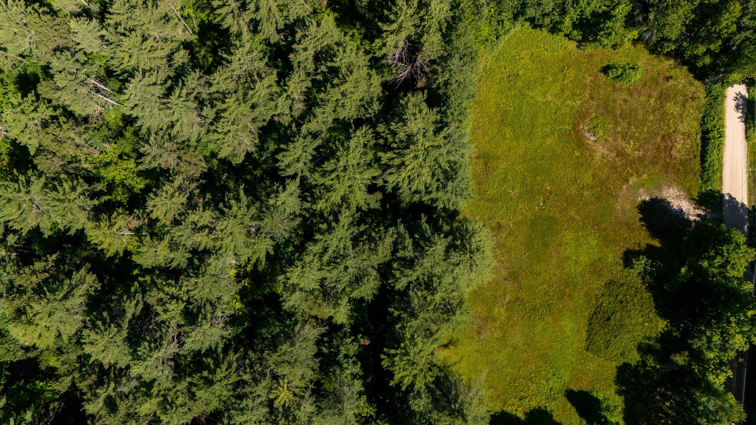 ACROSS FROM THE HOME IS A 15+/- ACRE OF LAND THAT CAN BE PURCHASED FOR AN ADDITIONAL $299,000.