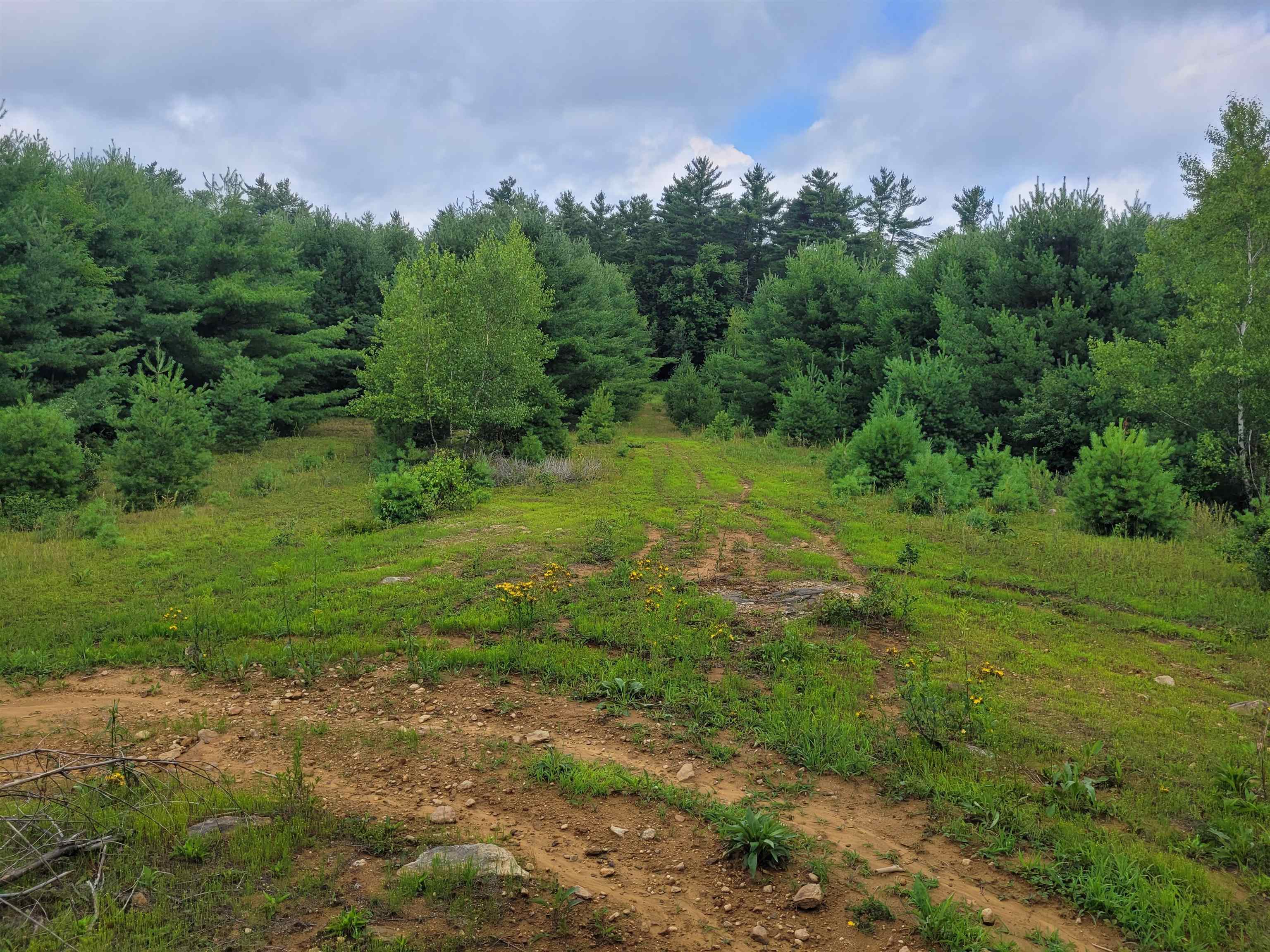 Prospect Hill Rd, Fitzwilliam, NH 03447