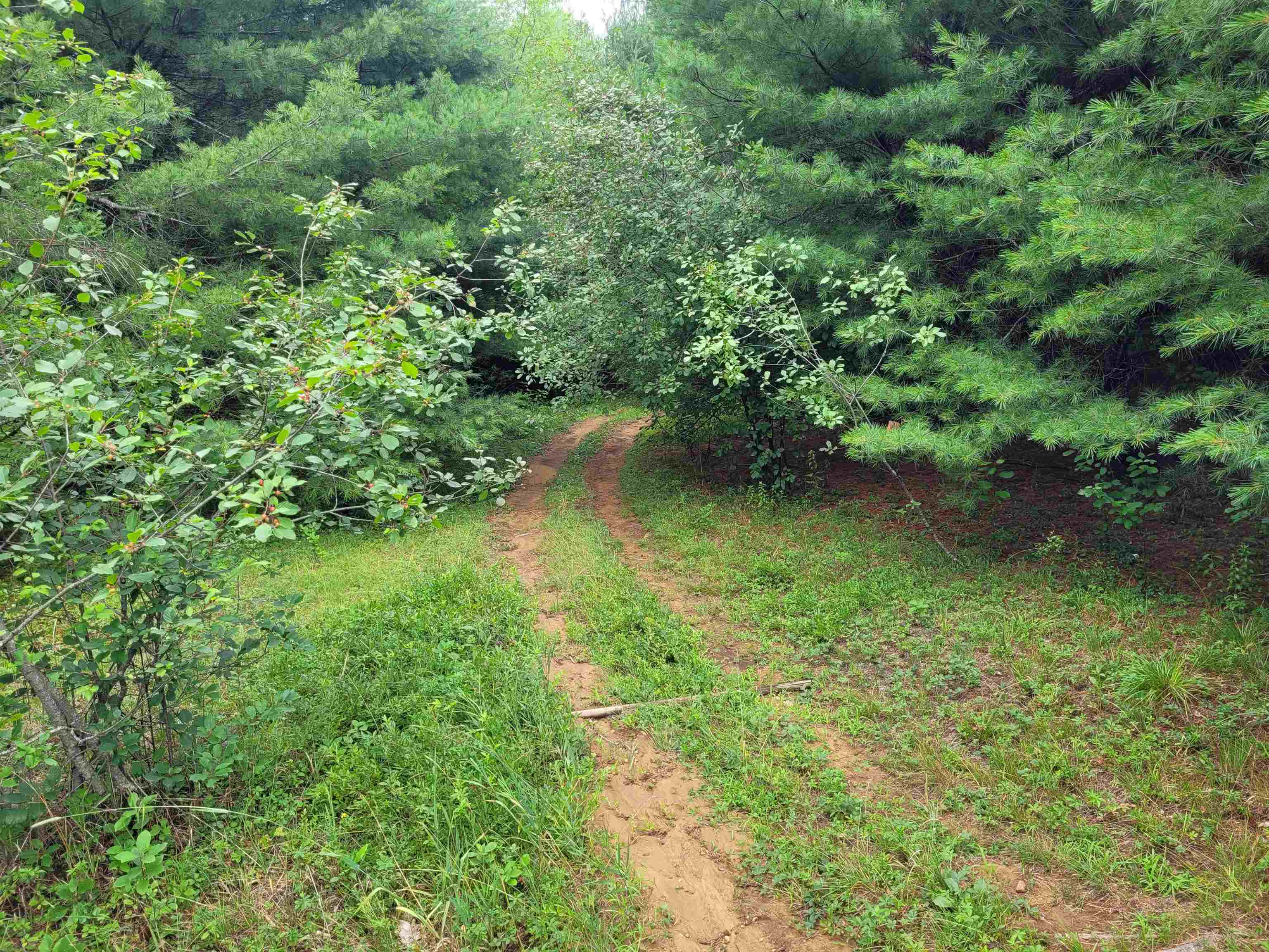 Prospect Hill Rd, Fitzwilliam, NH 03447