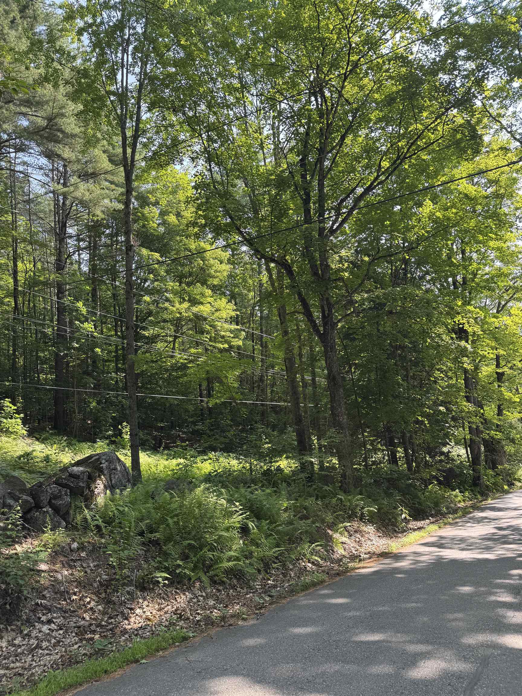 George Rd, Hebron, NH 03241