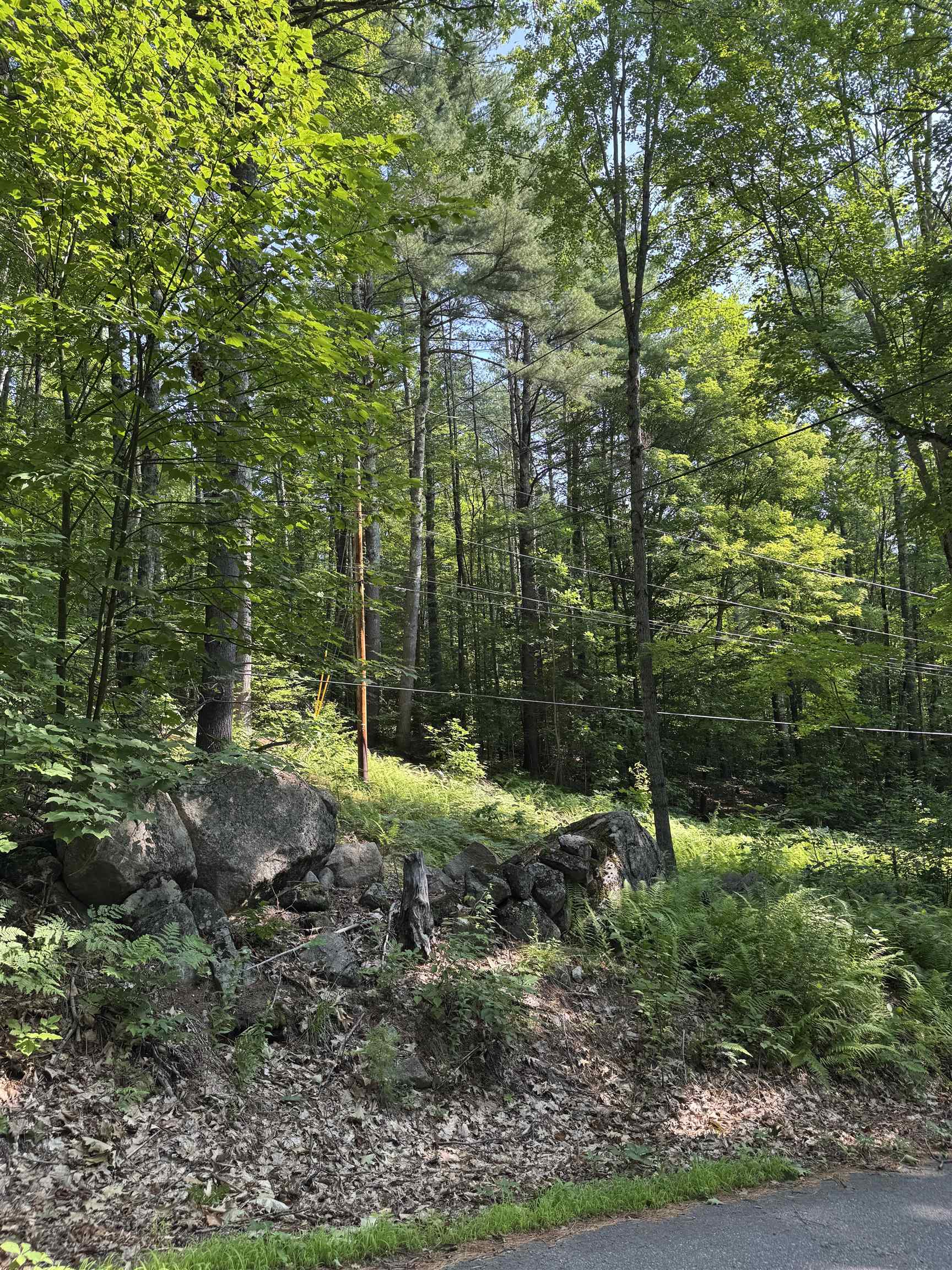 George Rd, Hebron, NH 03241