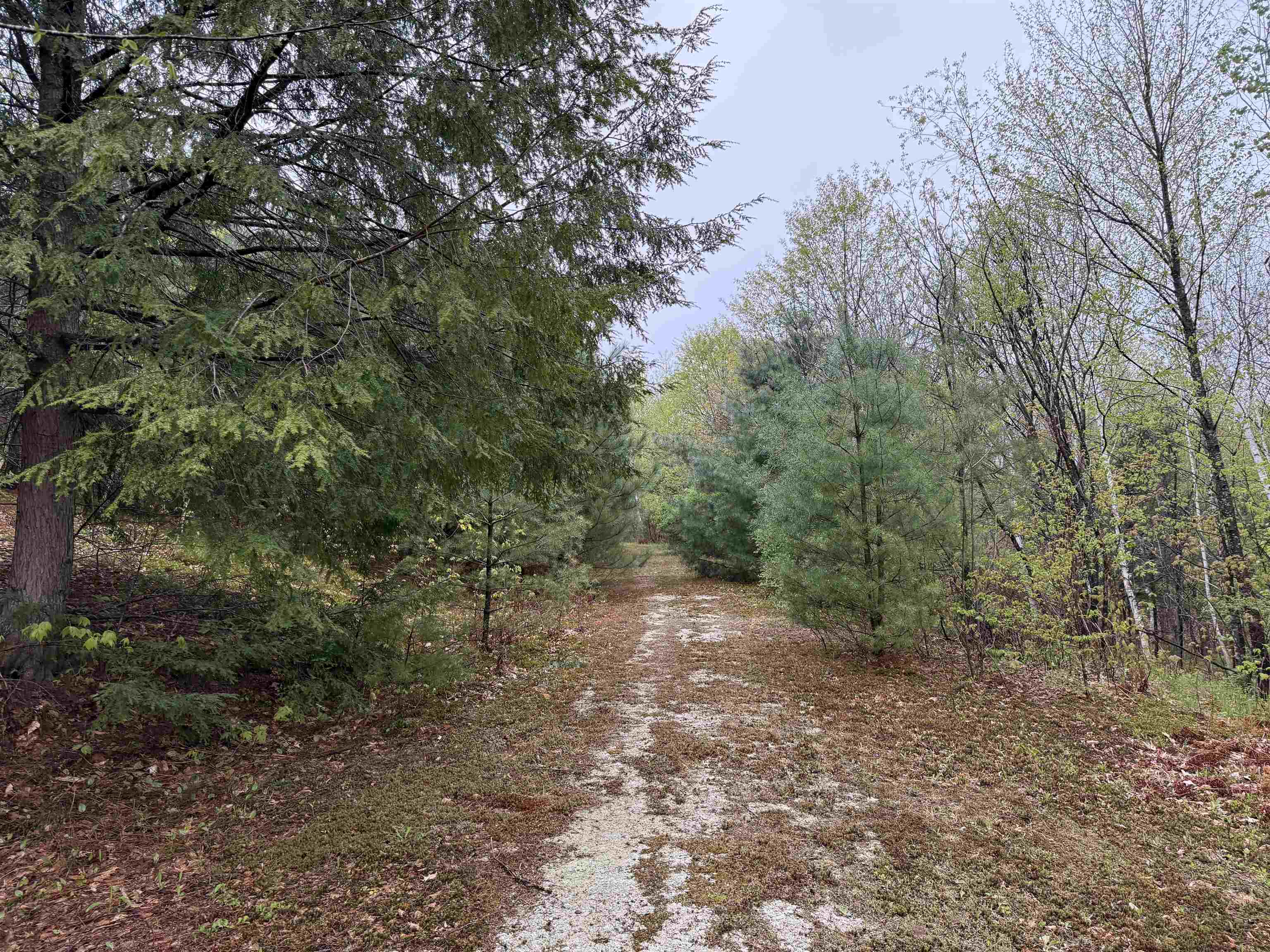 Trail 25851179
