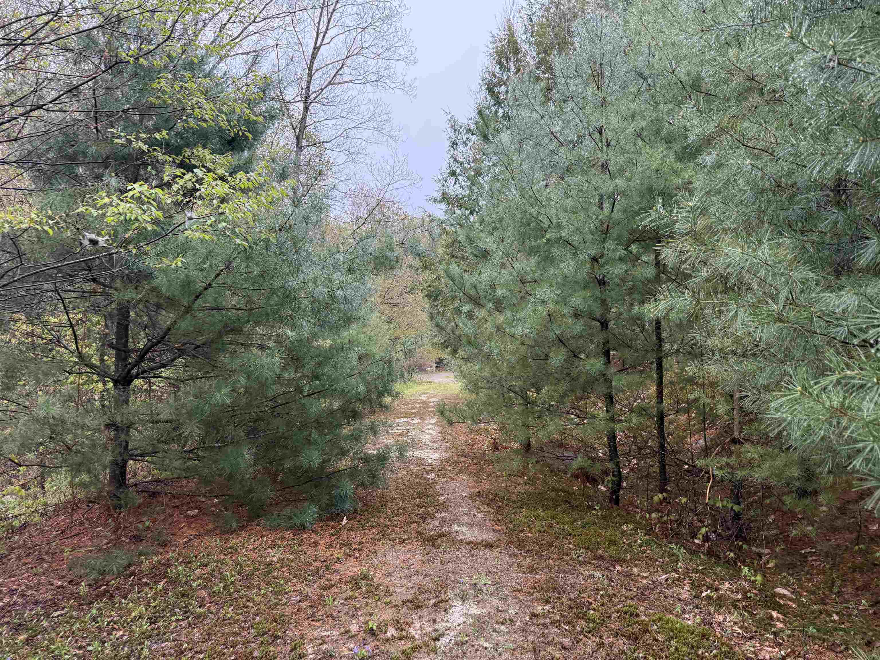 Trail back to house 25851189