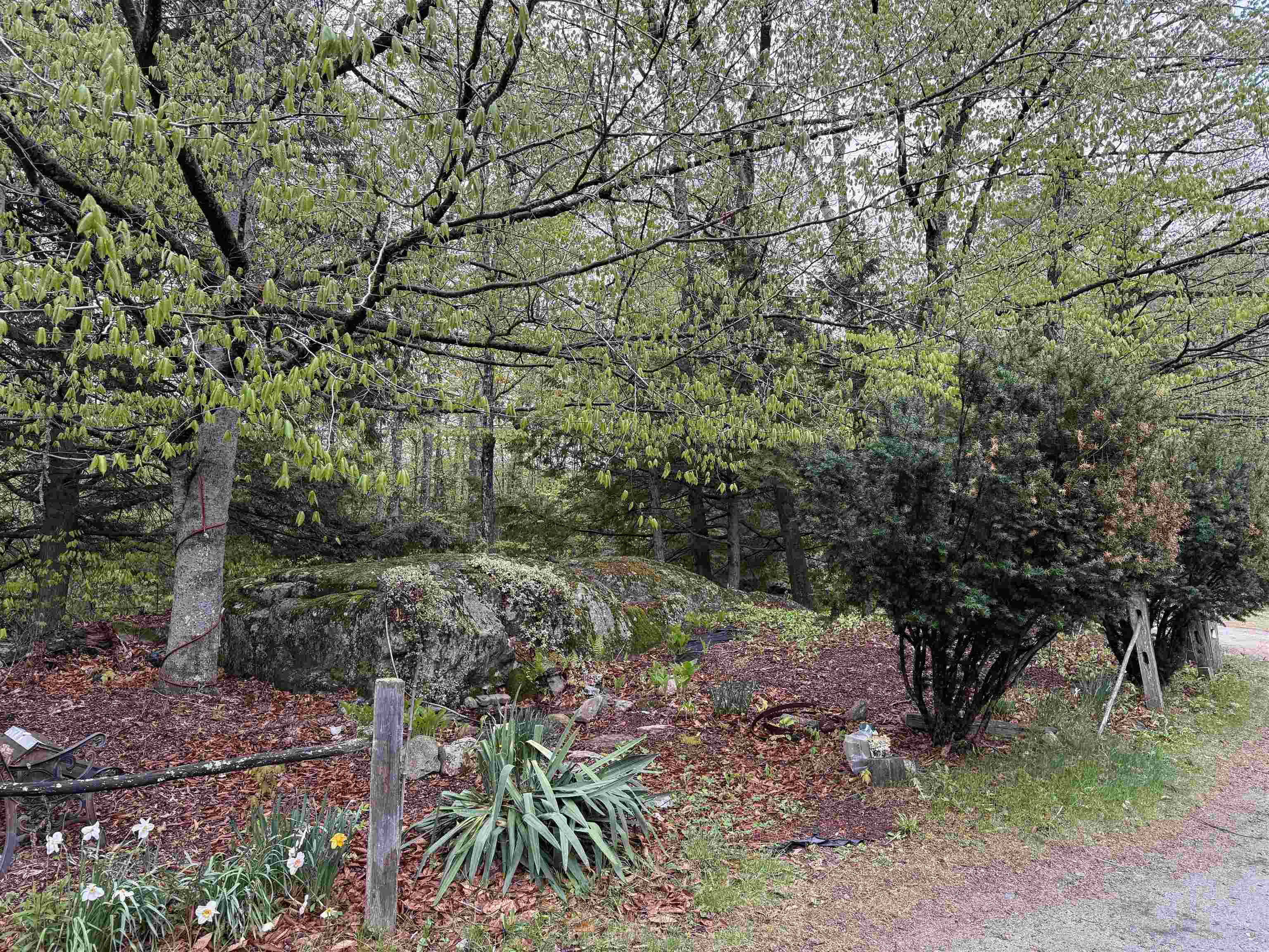 Little side rock garden 25851172