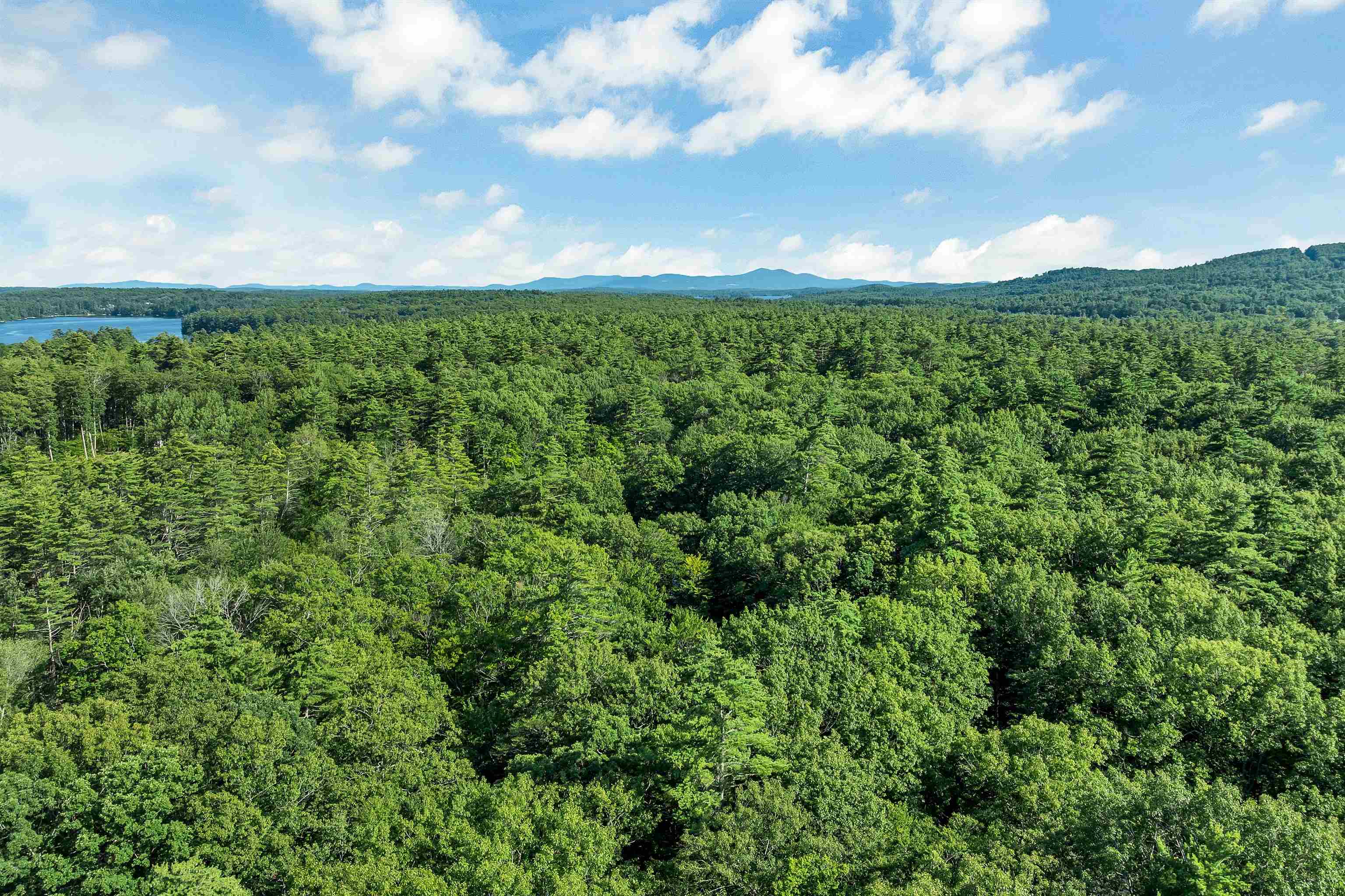 86 Heatherwood Dr, Moultonborough, NH 03254