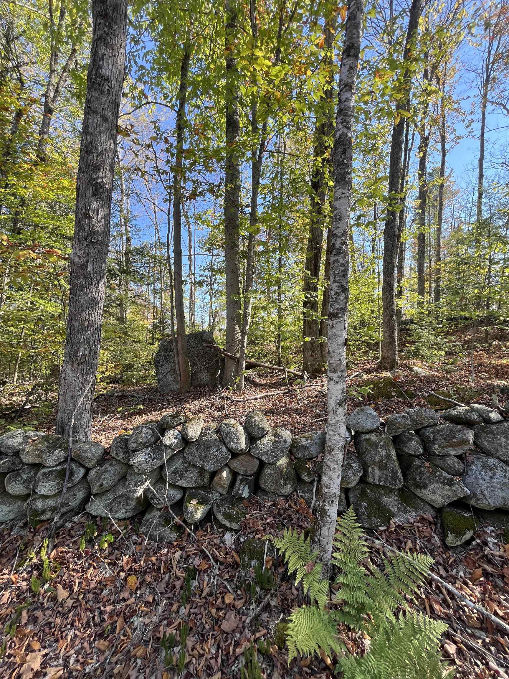 Map 227 Lot 010 Underwood Rd, Acworth, NH 03601