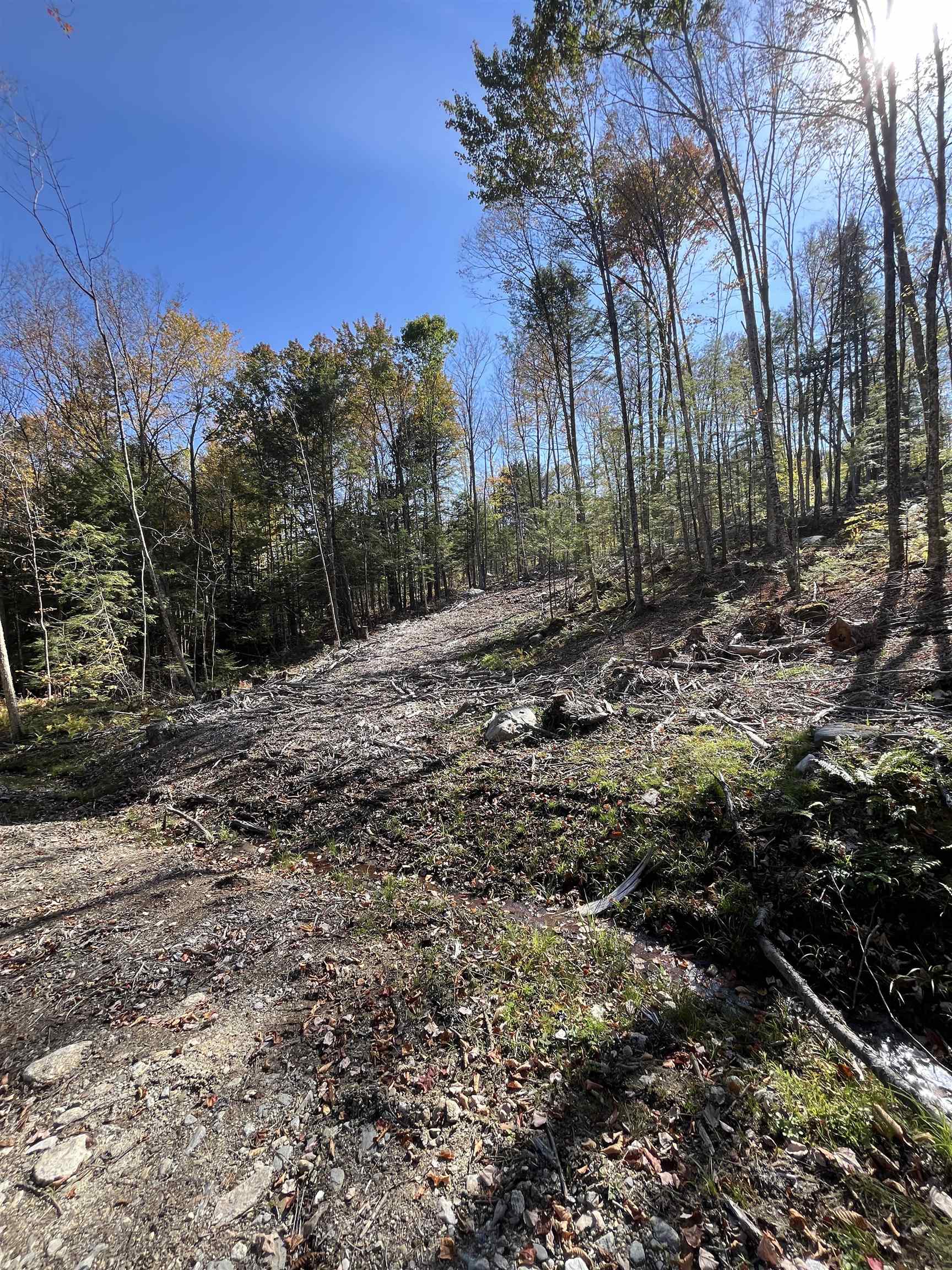 Map 227 Lot 010 Underwood Rd, Acworth, NH 03601