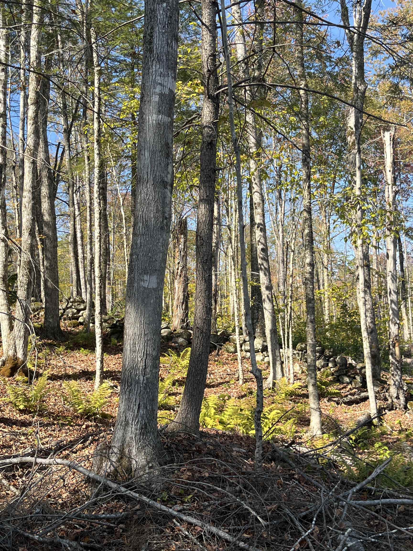 Map 227 Lot 010 Underwood Rd, Acworth, NH 03601