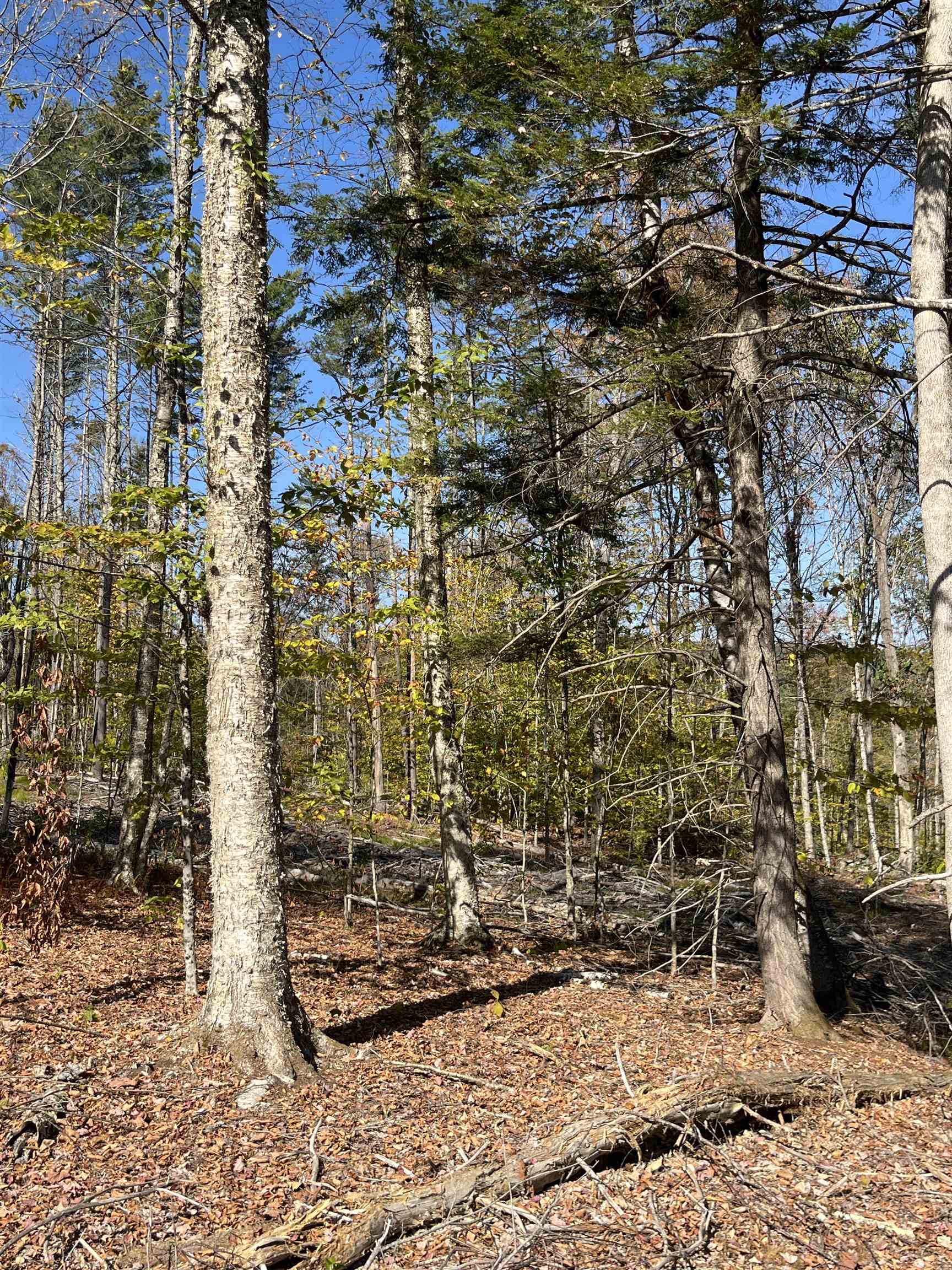 Map 227 Lot 007 Underwood Rd, Acworth, NH 03601