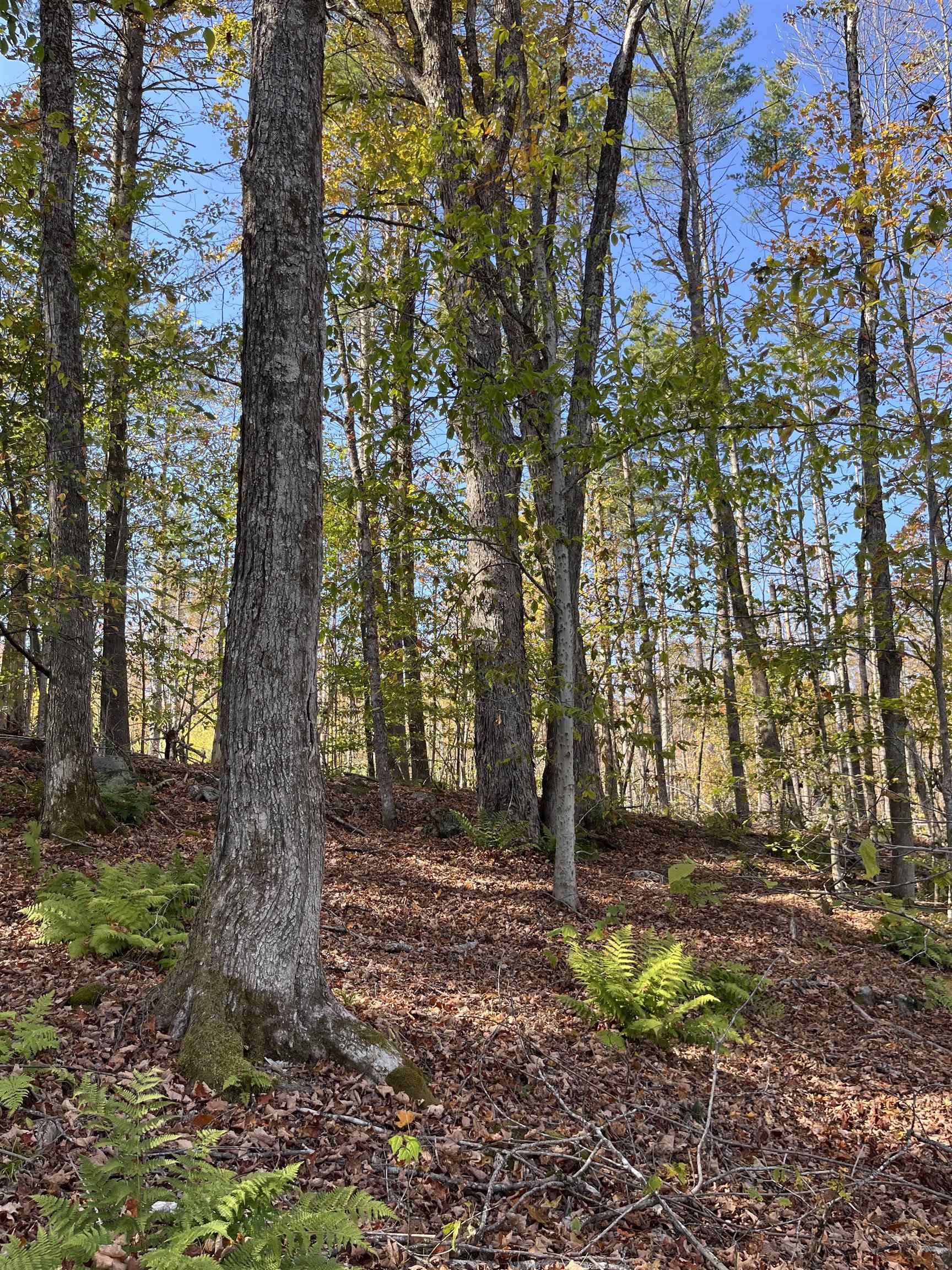 Map 227 Lot 007 Underwood Rd, Acworth, NH 03601