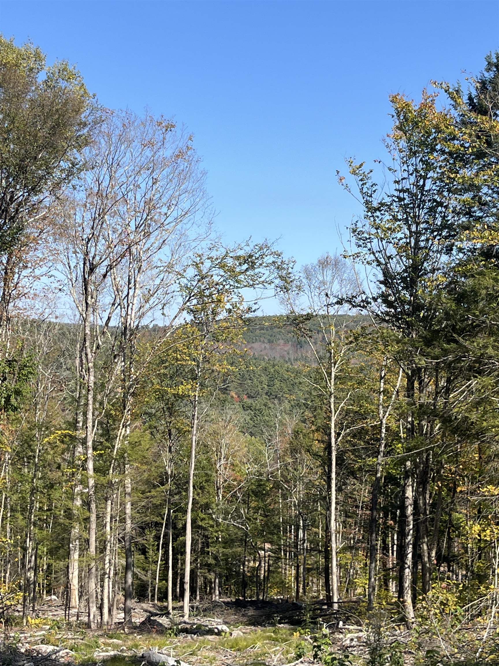Lots 7 - 10 Underwood Rd, Acworth, NH 03601