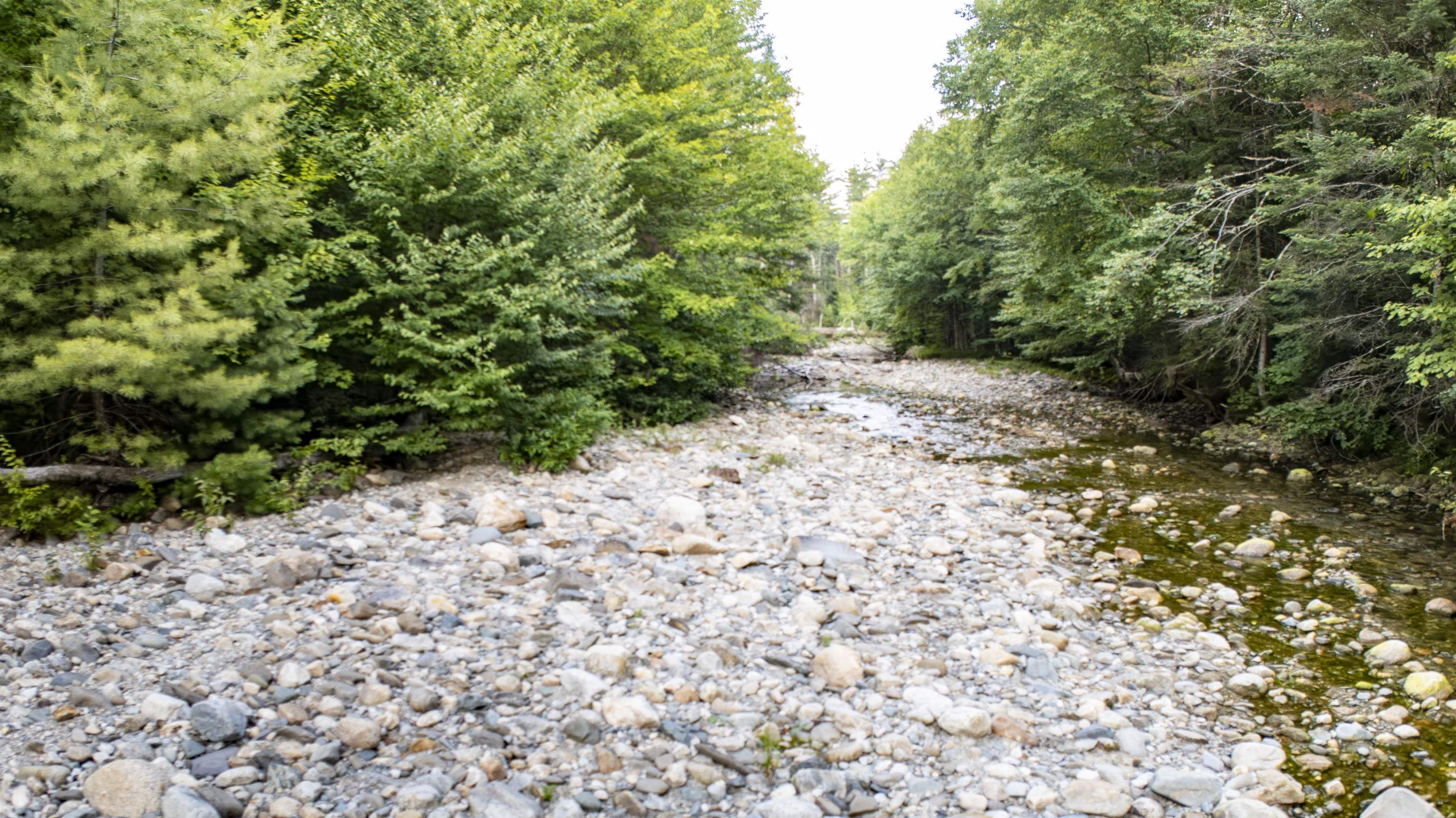 760 Lost River Rd, Easton, NH 03580
