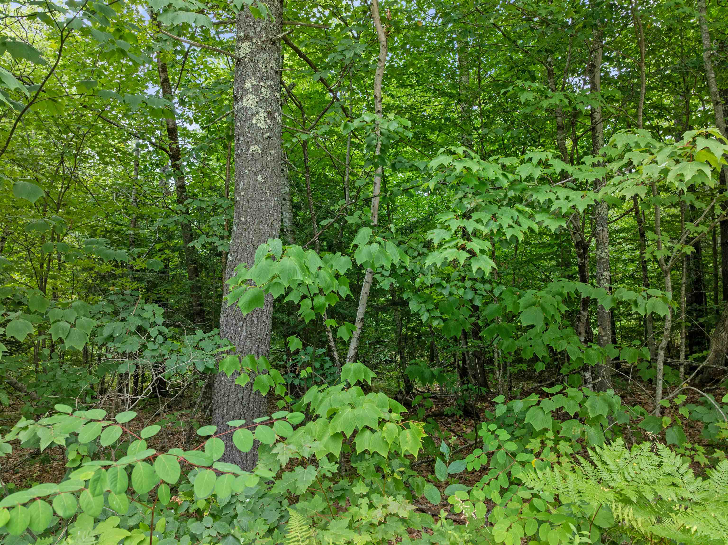 00 Gilman Point Rd, Moultonborough, NH 03254