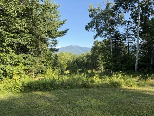 28 Foxglove Ln, Franconia, NH 03580