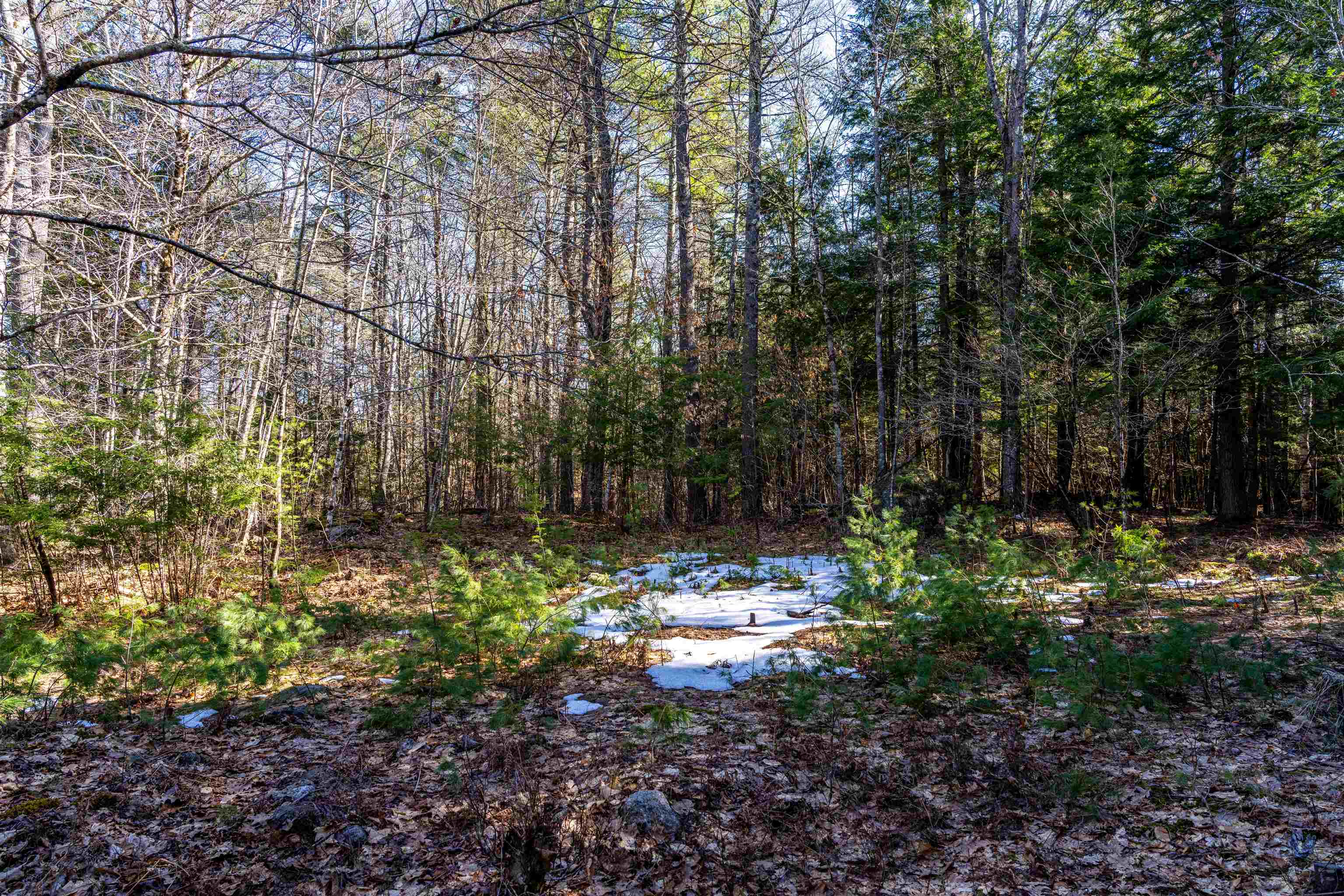 Burke Rd, Gilmanton, NH 03837