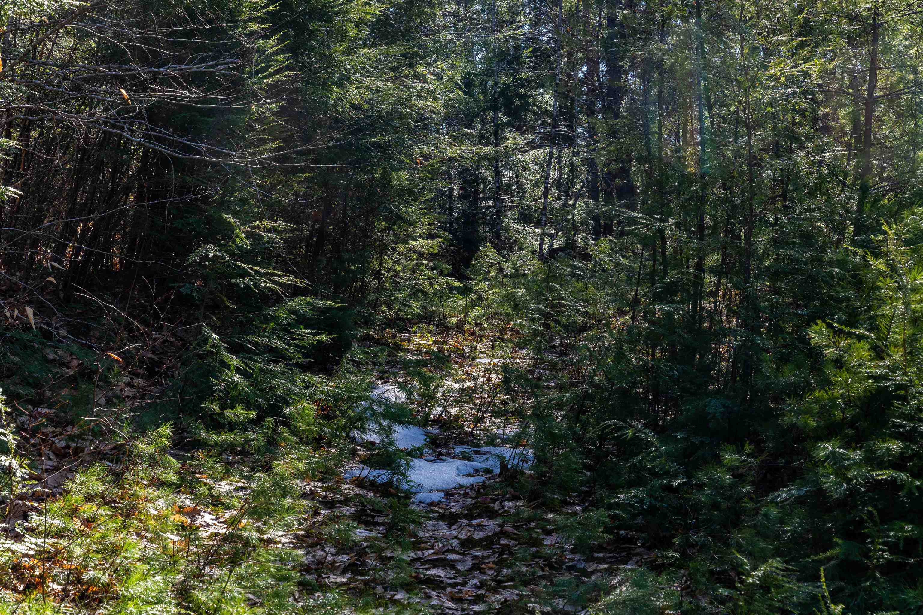 Burke Rd, Gilmanton, NH 03837