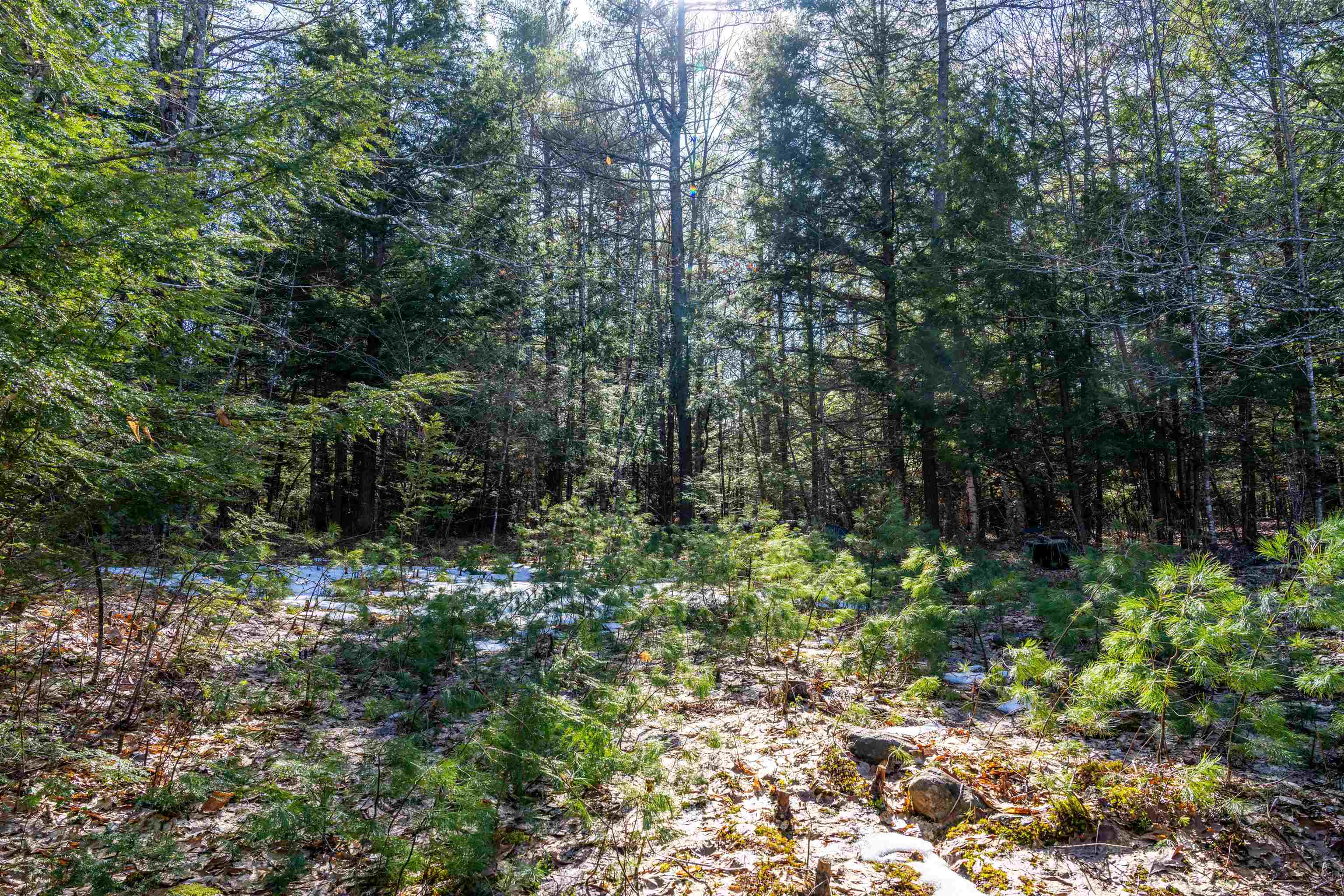 Burke Rd, Gilmanton, NH 03837