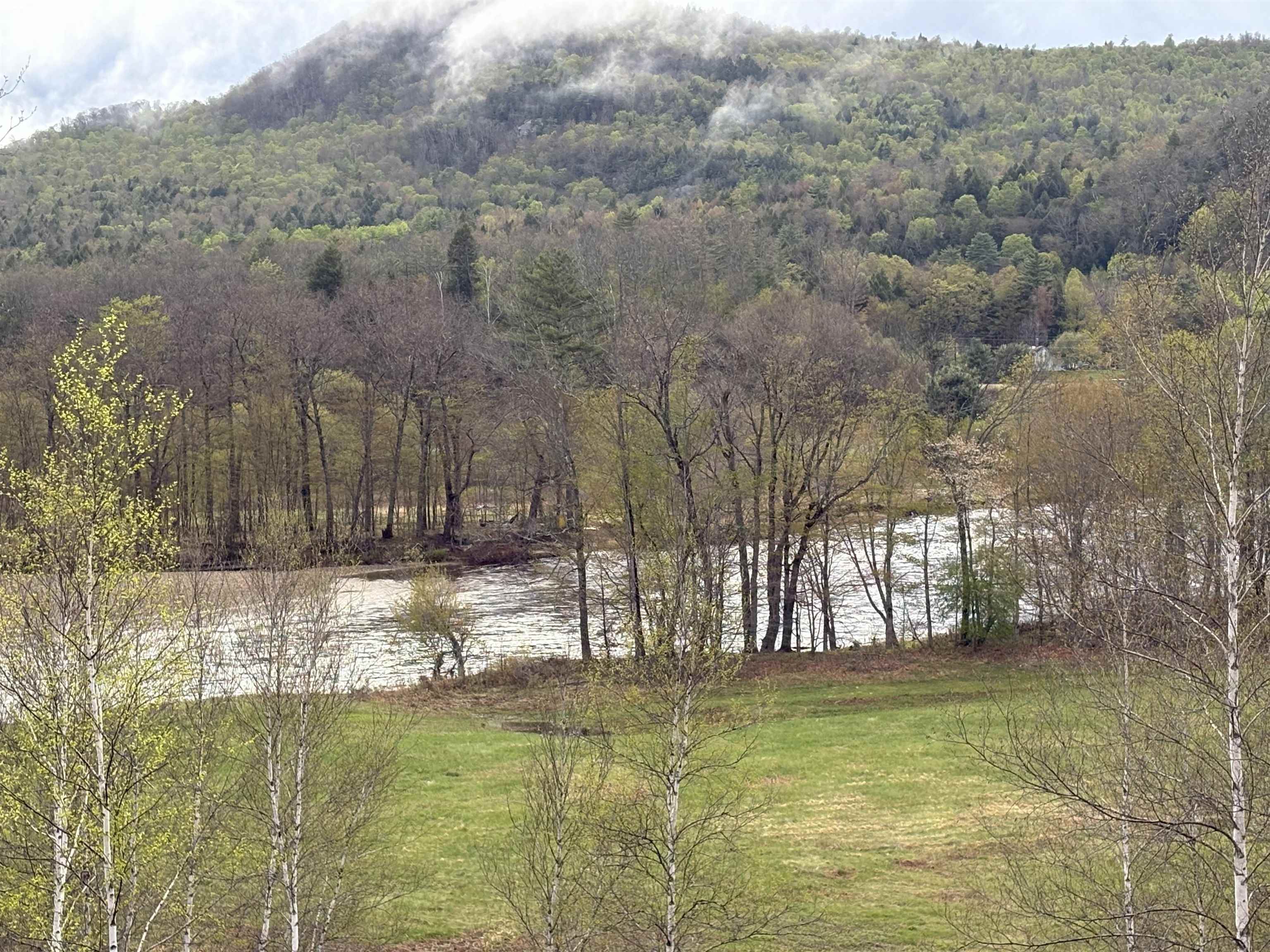 Meadow and river view