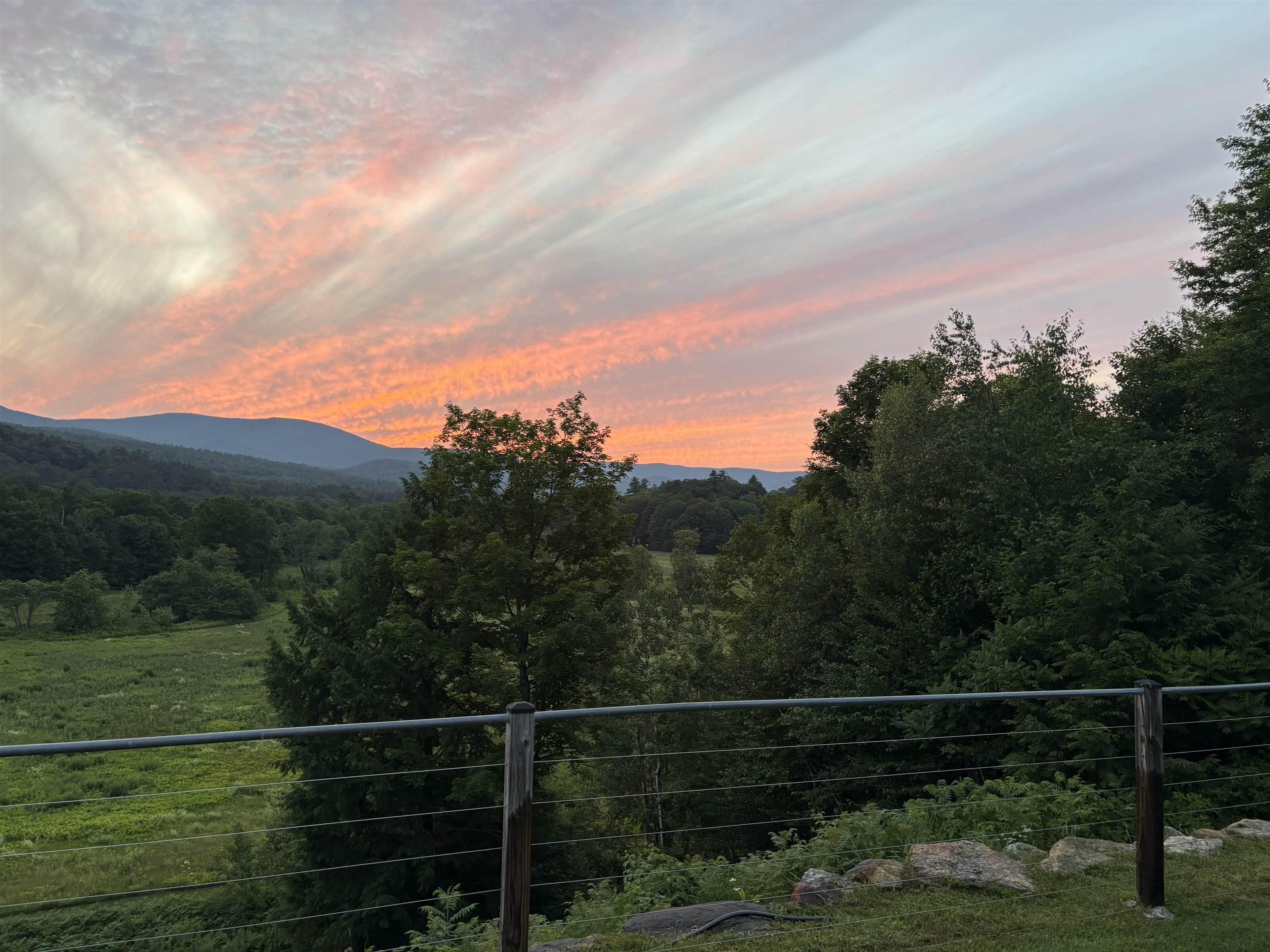 Dusk view across the meadow