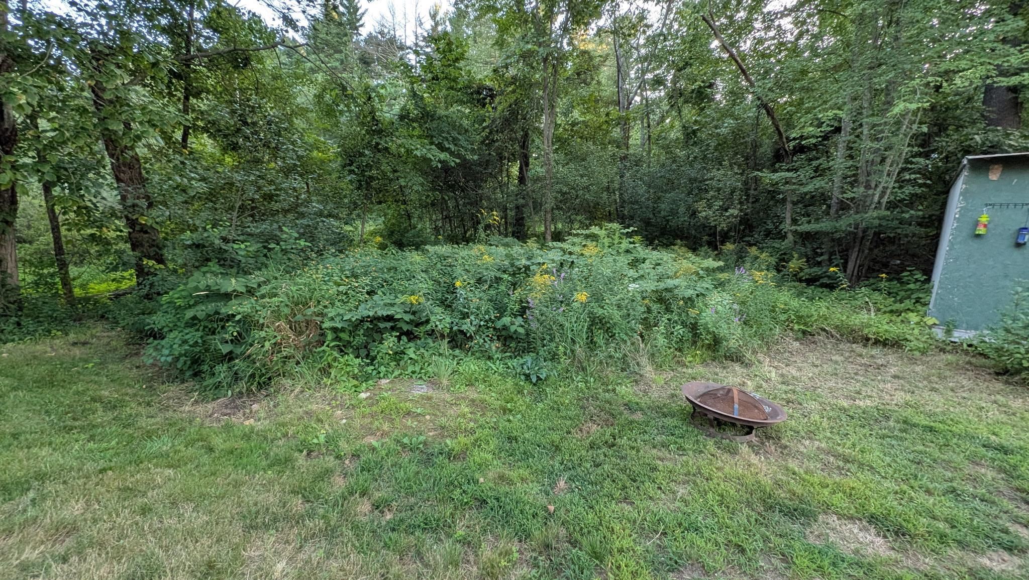 Photo 31 of 38