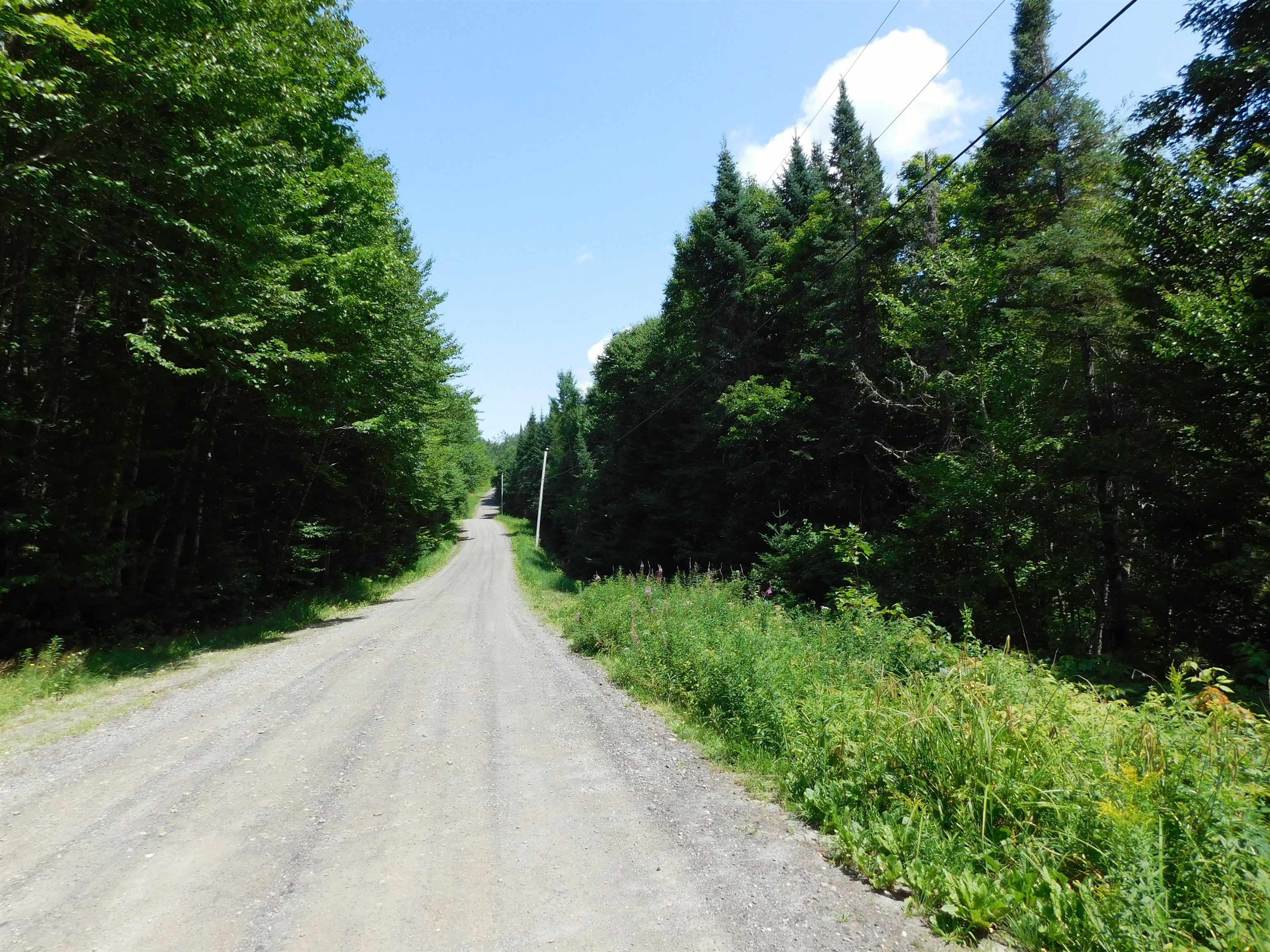 Cloutiers Loop, Pittsburg, NH 03592