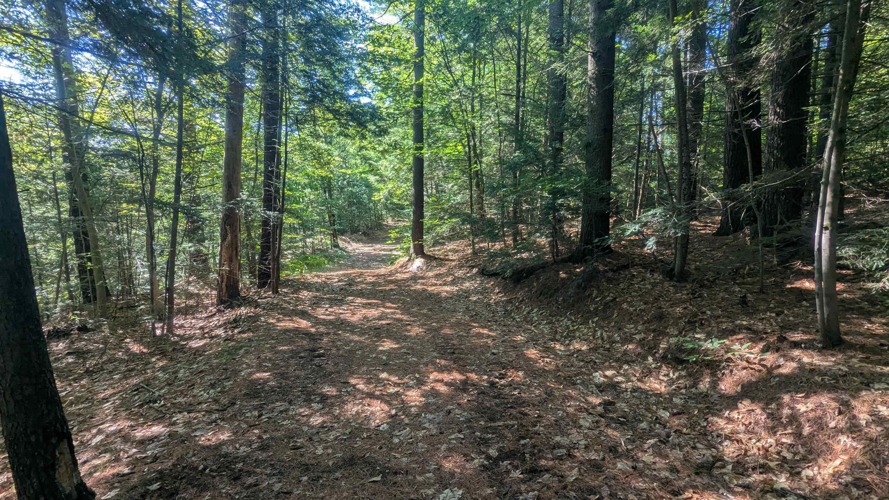 905 River Rd, Bridgewater, NH 03264