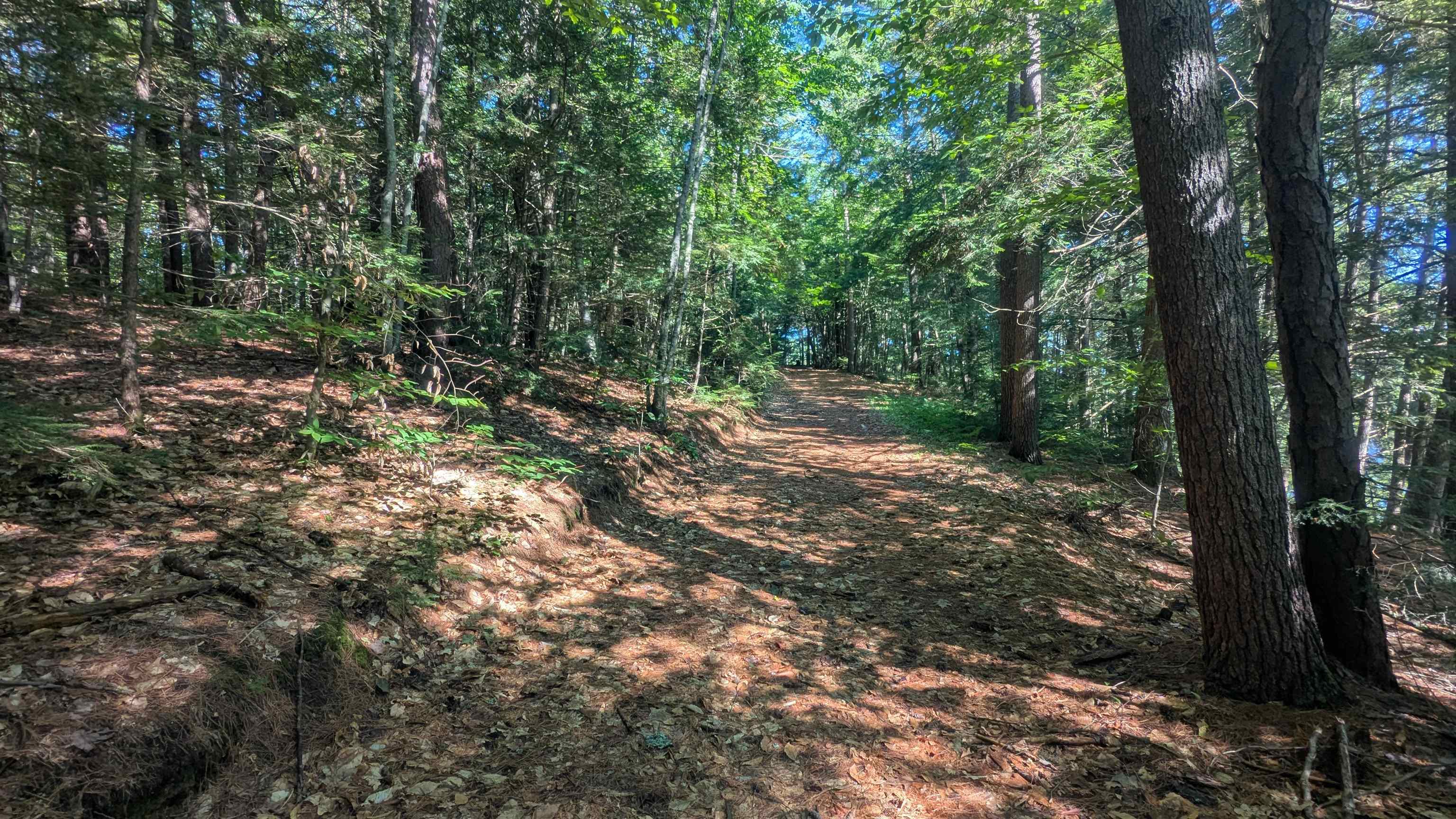905 River Rd, Bridgewater, NH 03264