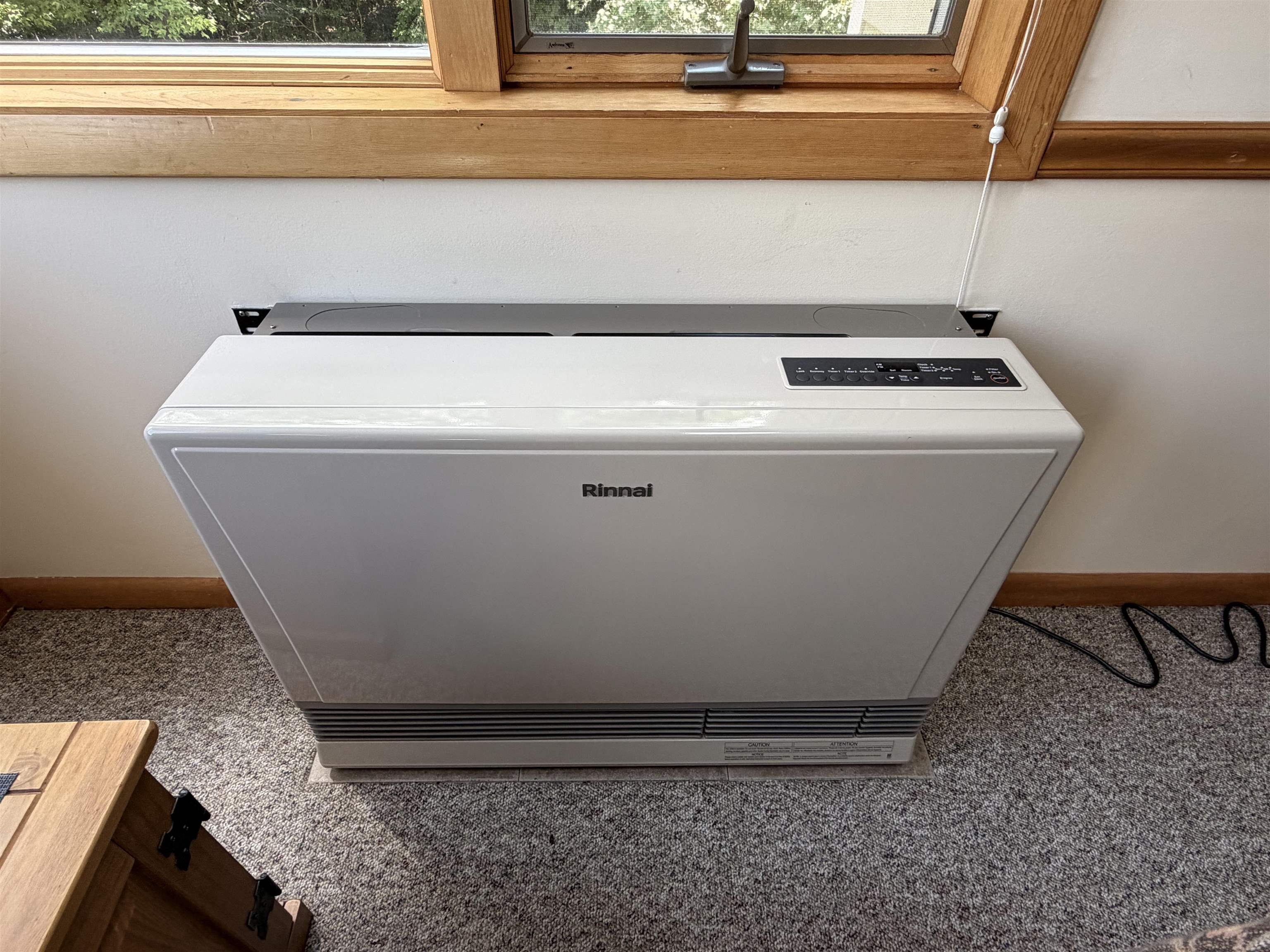 New Rinnai propane heater - efficient!