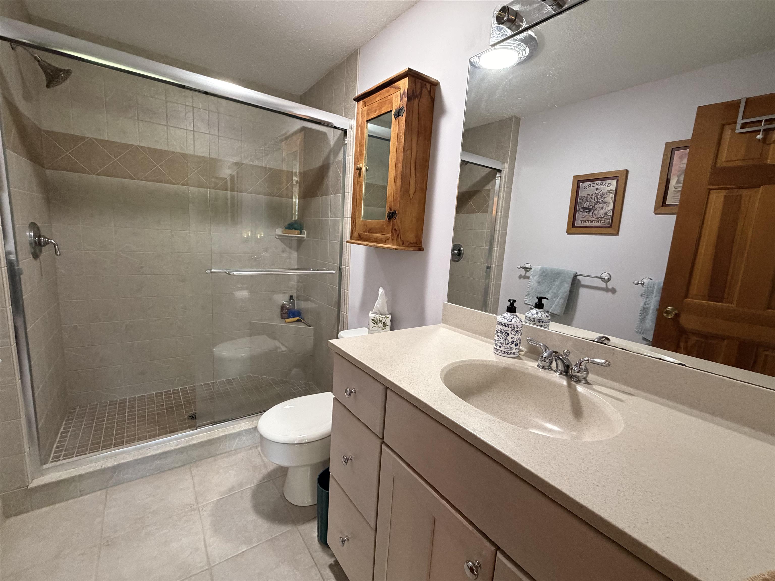 Glass and tile walk-in shower