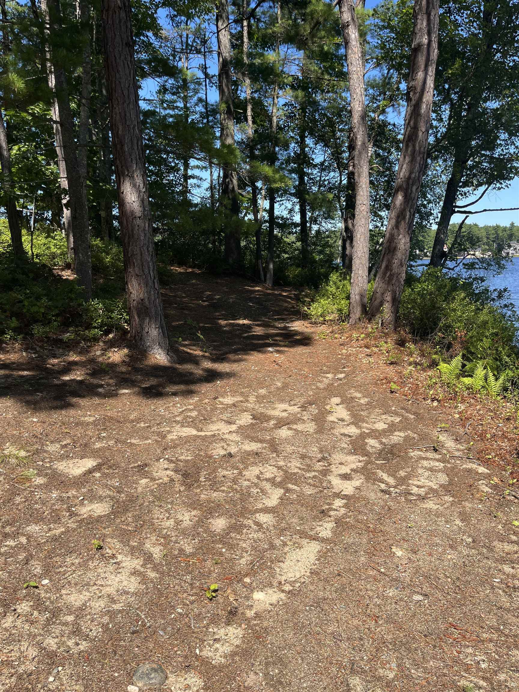 ATV trail from driveway to shoreline