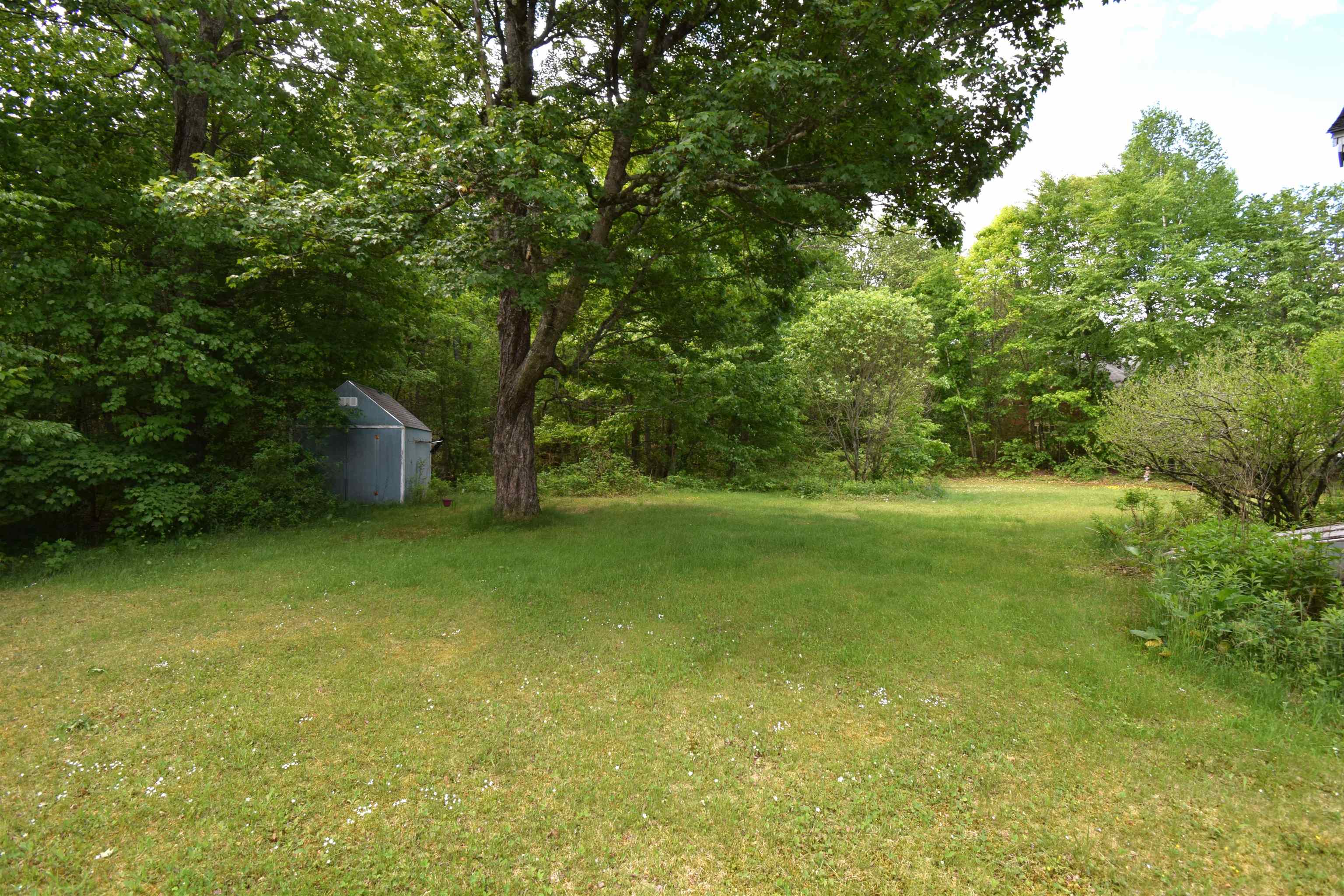 Photo 5 of 51