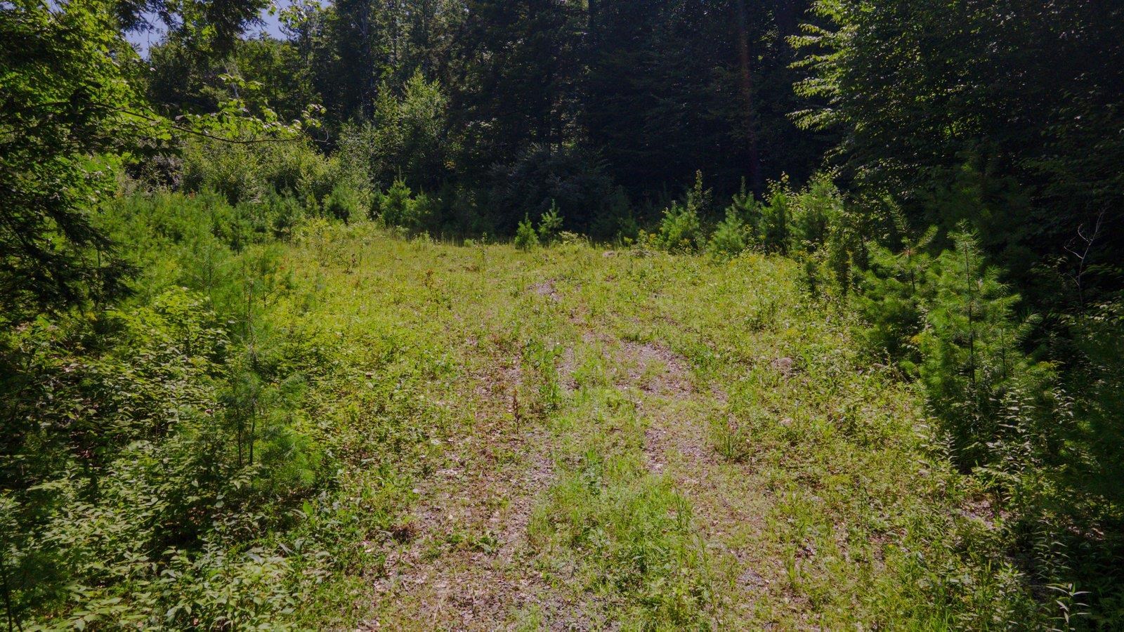 Lot 592-D Weare Road/route 114 Rd, Henniker, NH 03424
