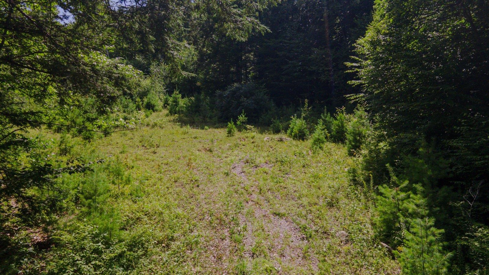 Lot 592-D Weare Road/route 114 Rd, Henniker, NH 03424
