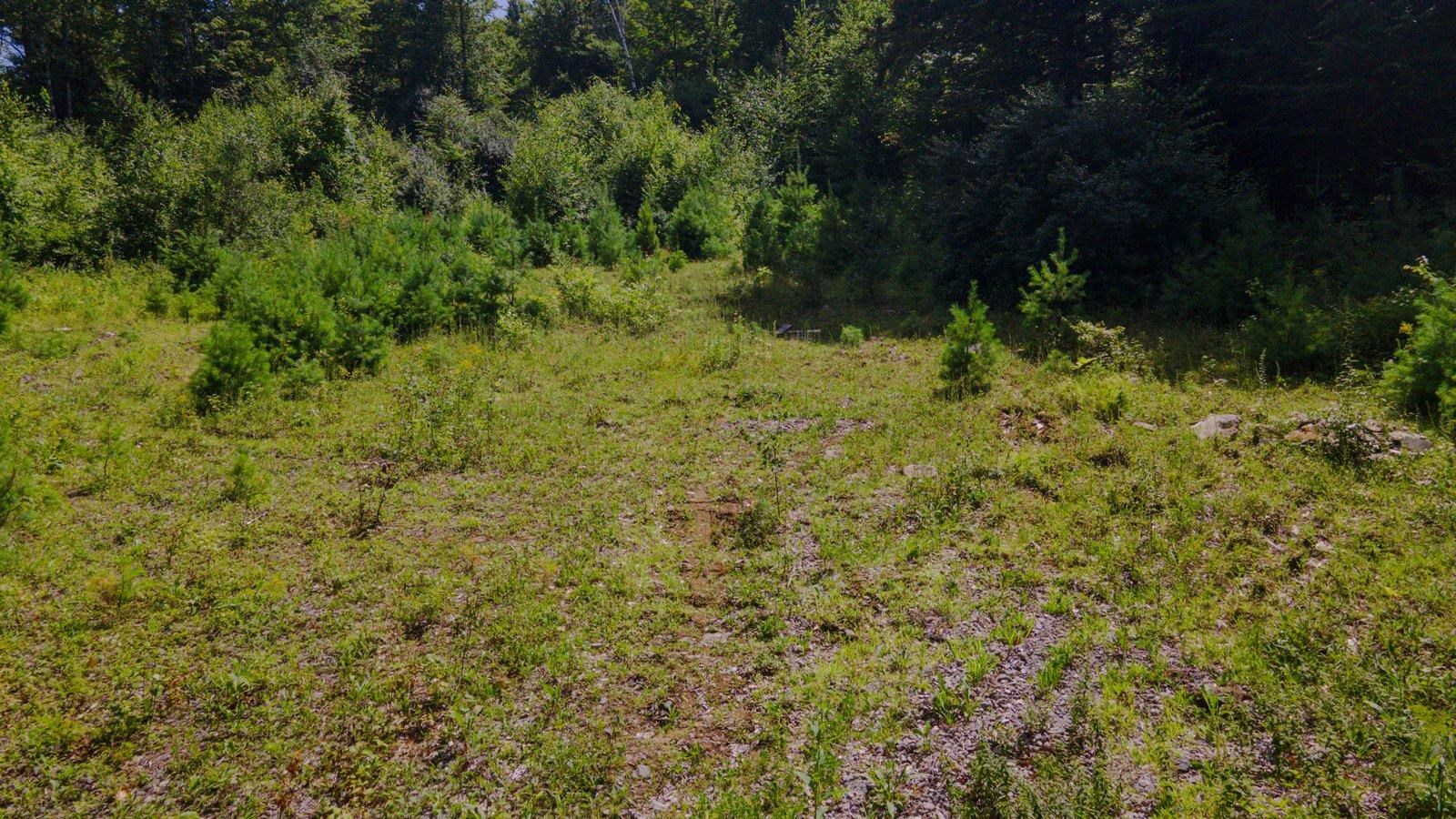 Lot 592-D Weare Road/route 114 Rd, Henniker, NH 03424