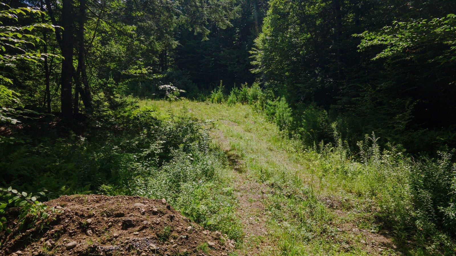 Lot 592-D Weare Road/route 114 Rd, Henniker, NH 03424