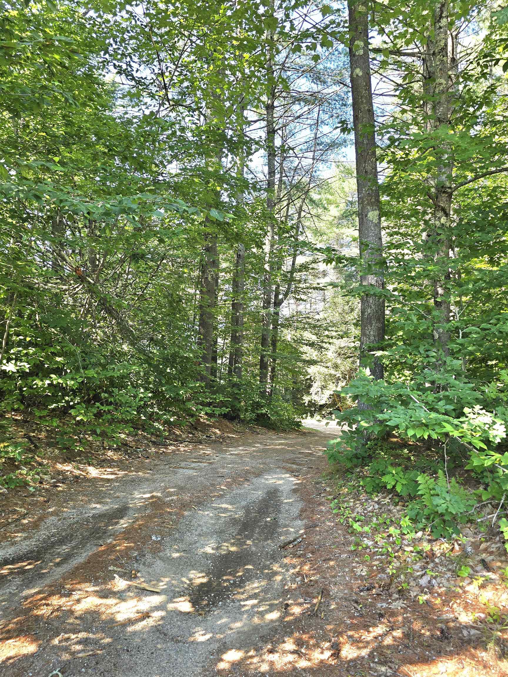 21 Wildwood Rd, Albany, NH 03813