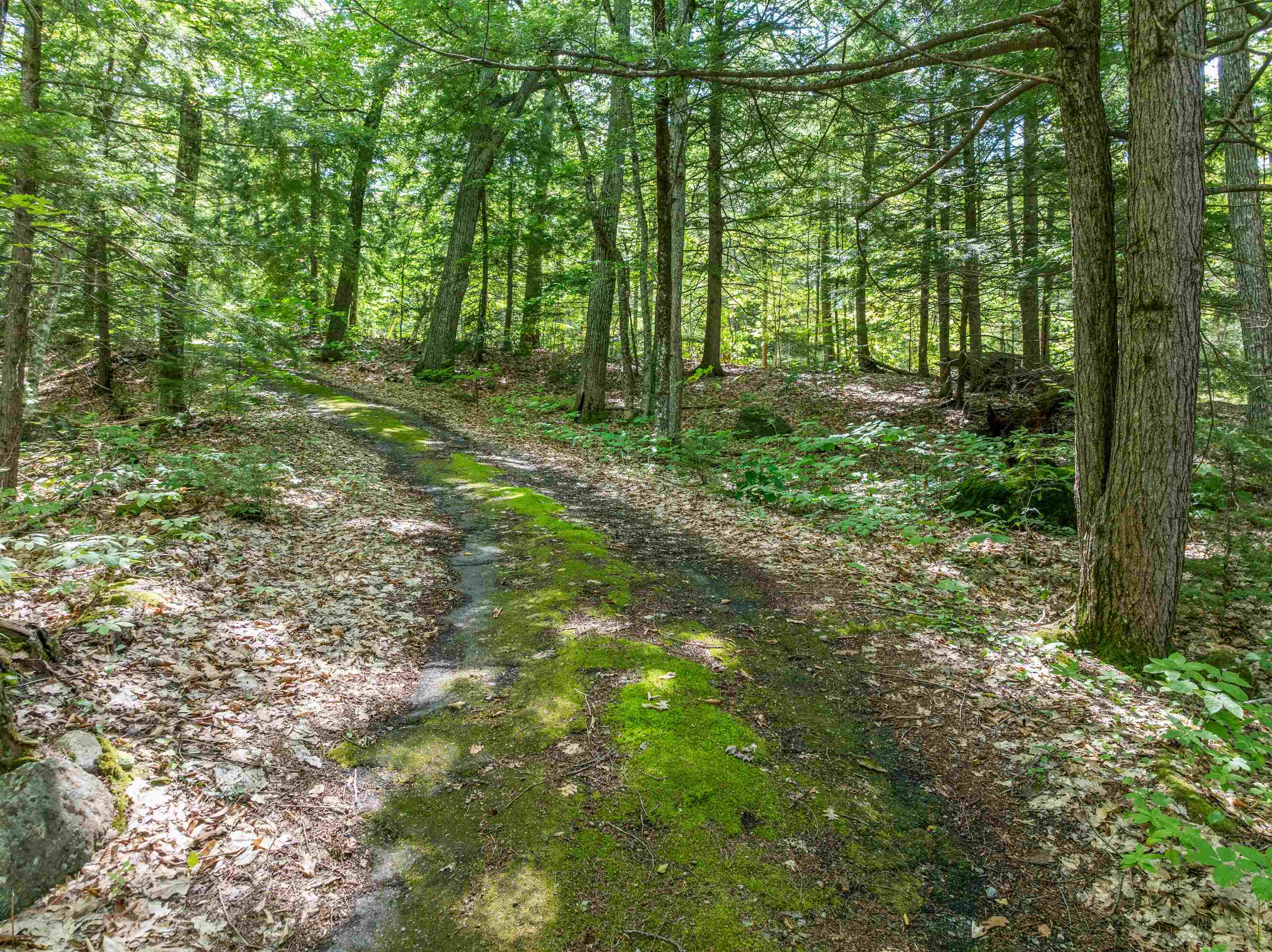 393 Chemung Rd, Meredith, NH 03253