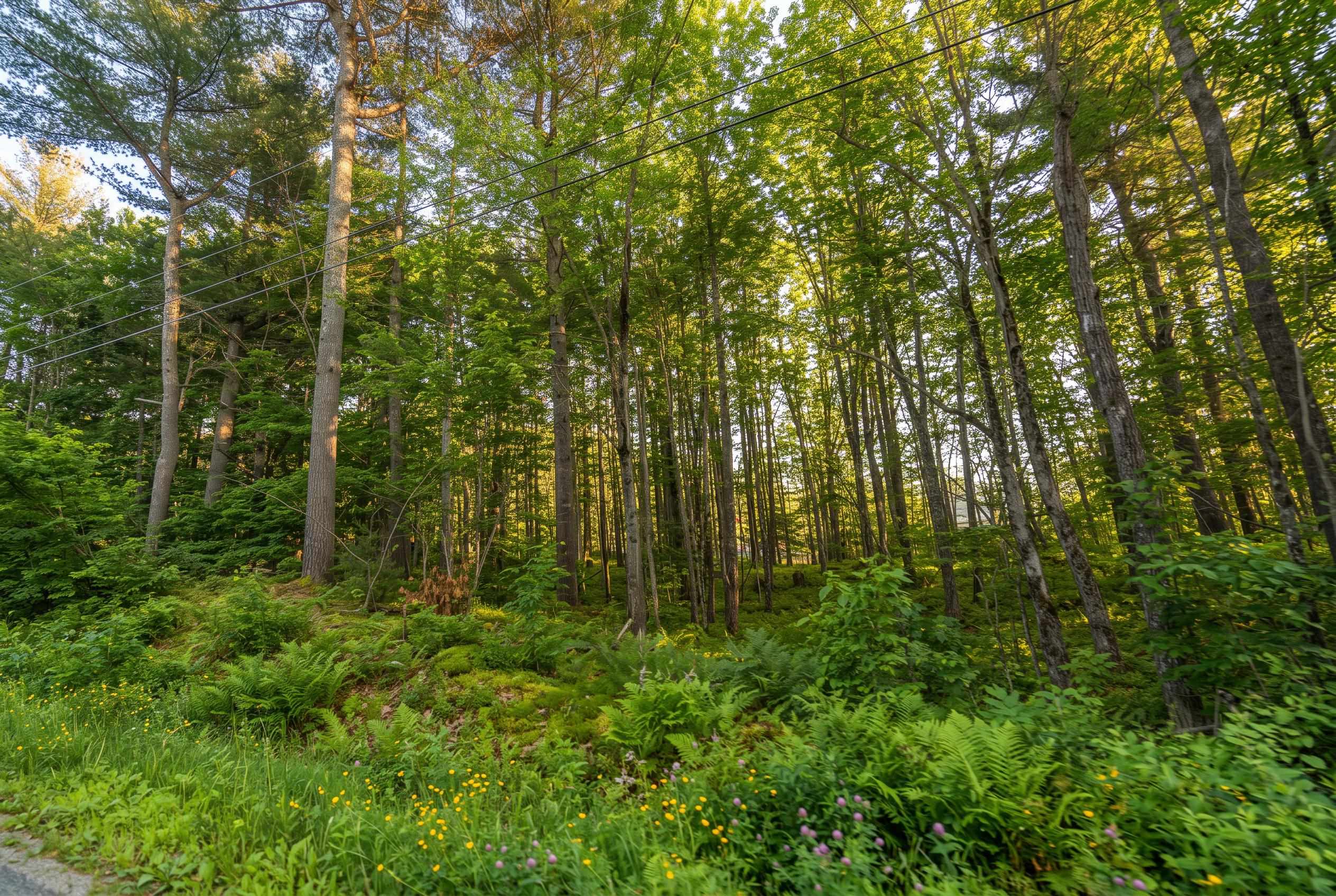 76 Franconia Way, New Durham, NH 03855