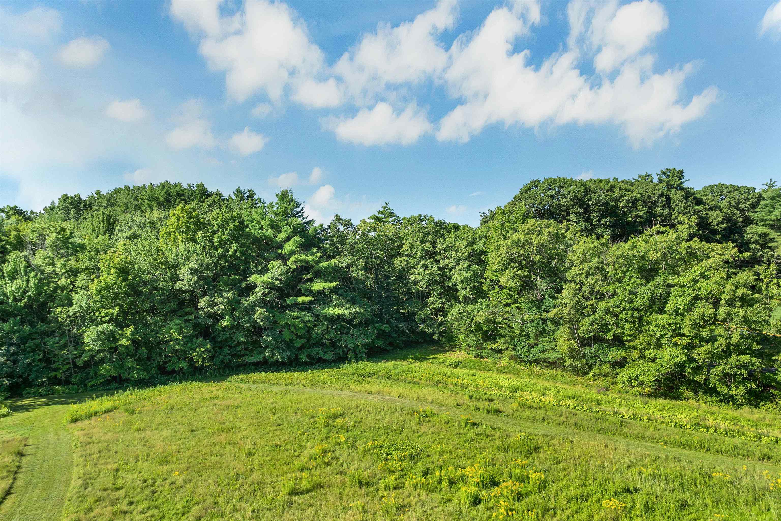 View from Neighboring Lot (edge of boundary)