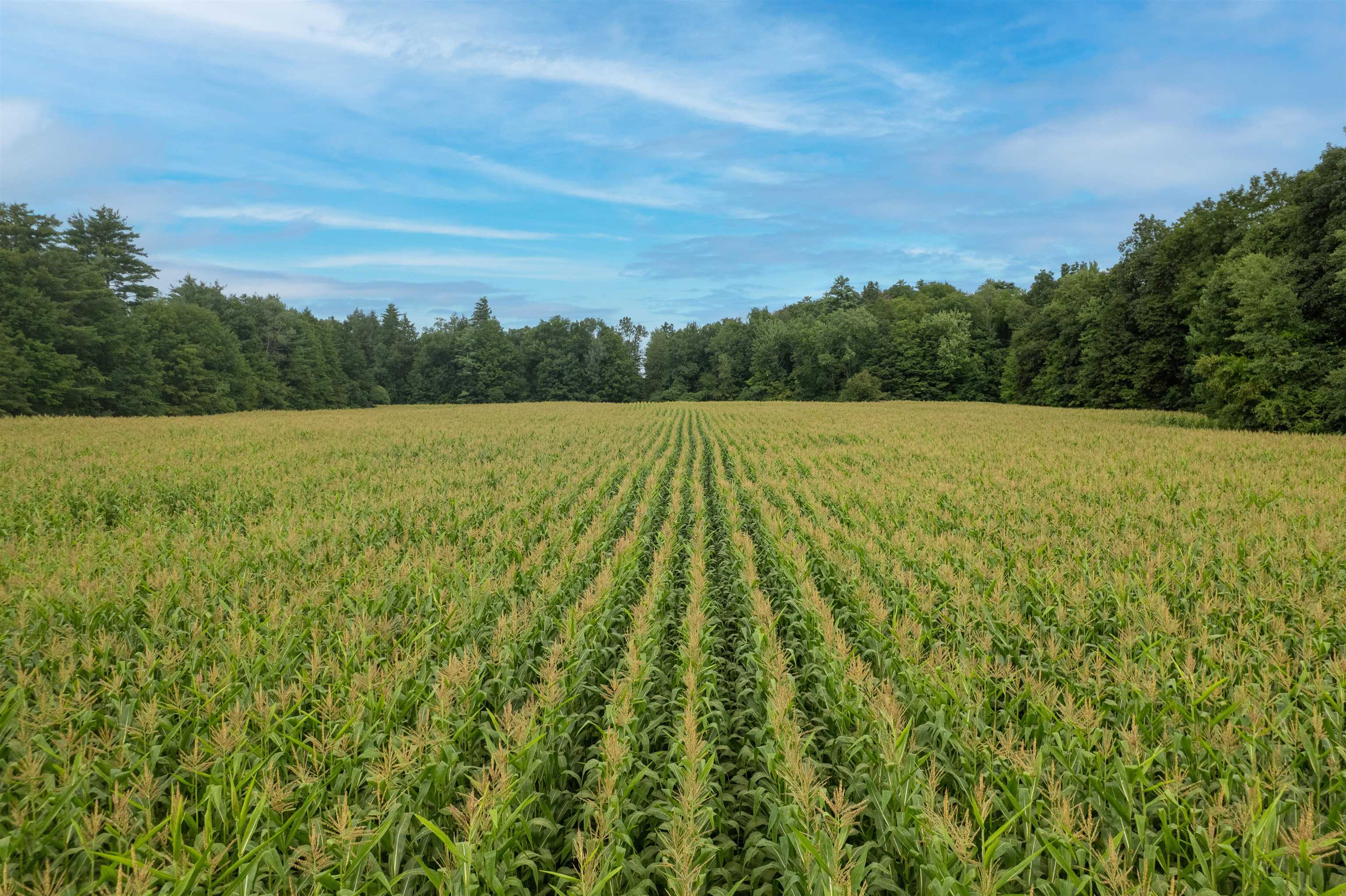Productive farm land