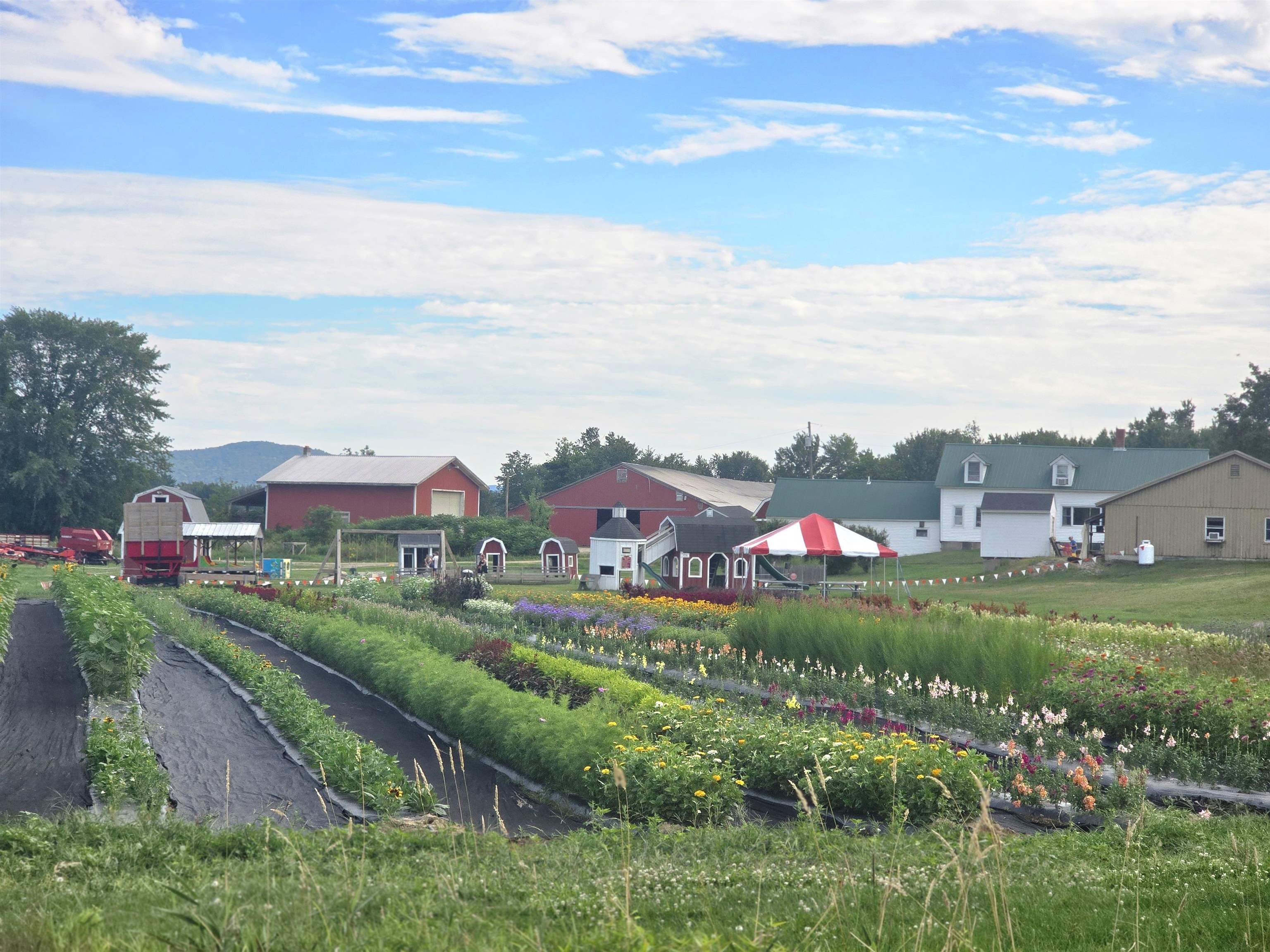 110 Green Hill Rd, Conway, NH 03813