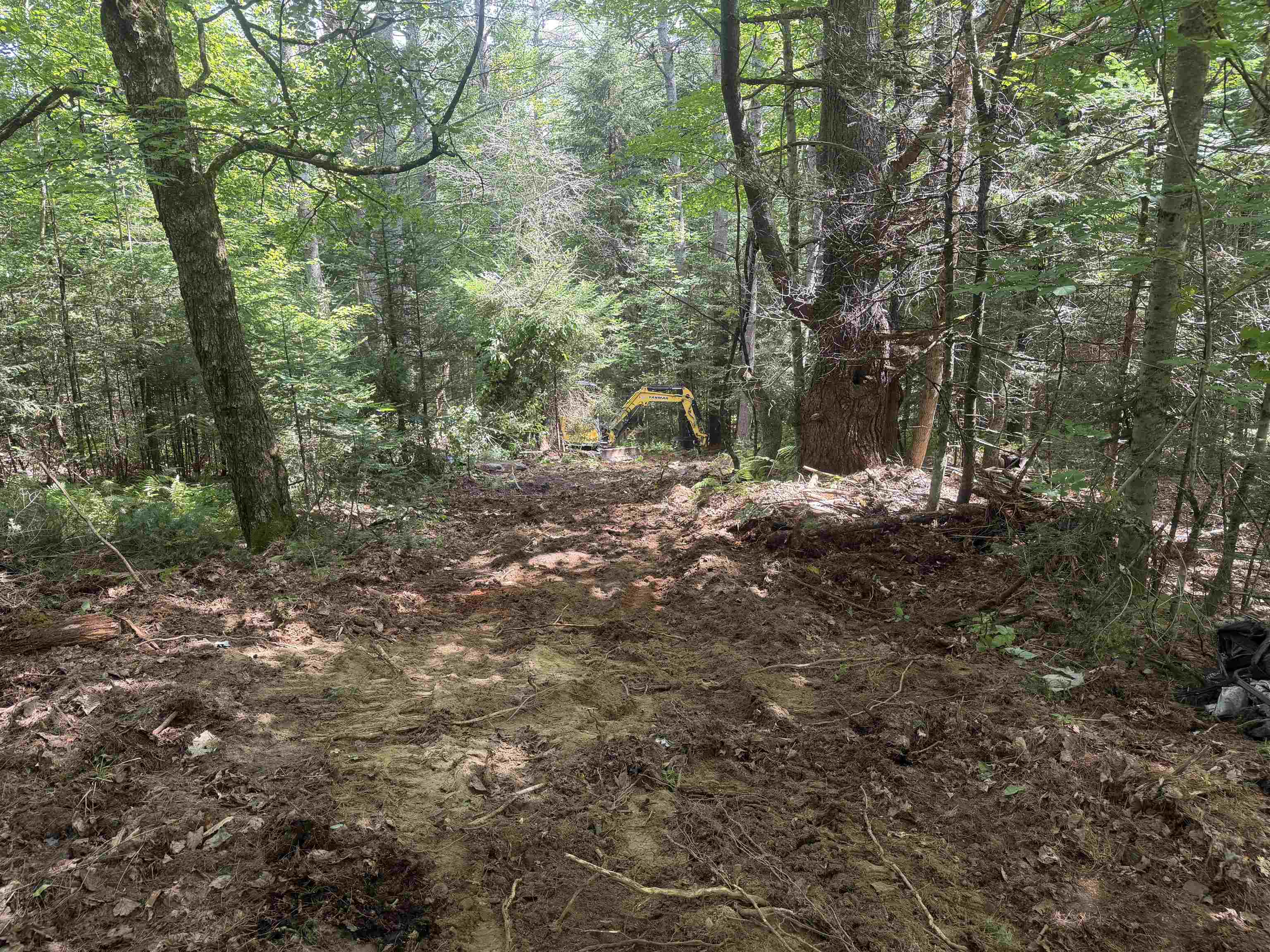 Opened Up Road