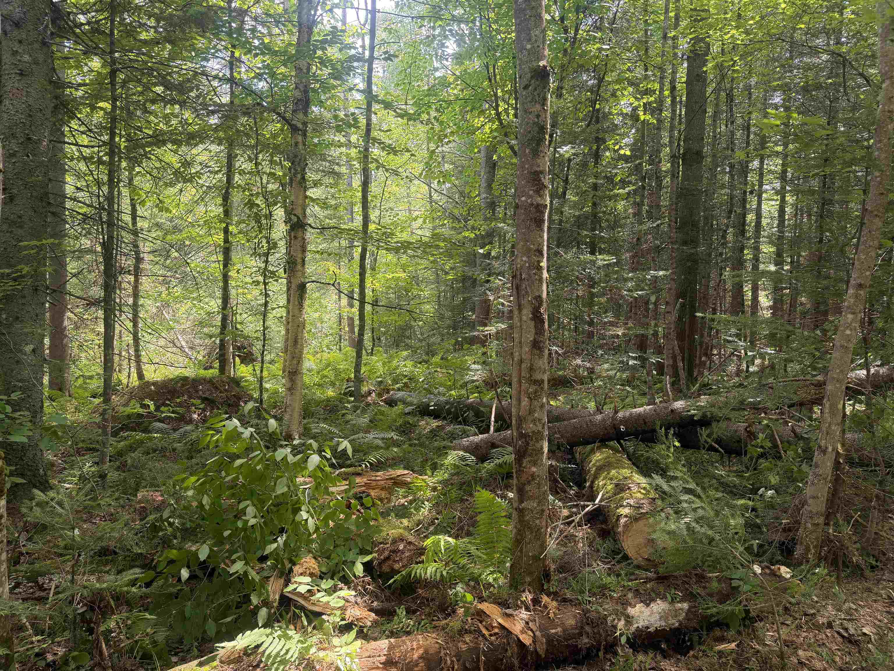 Varied Terrain/Fauna